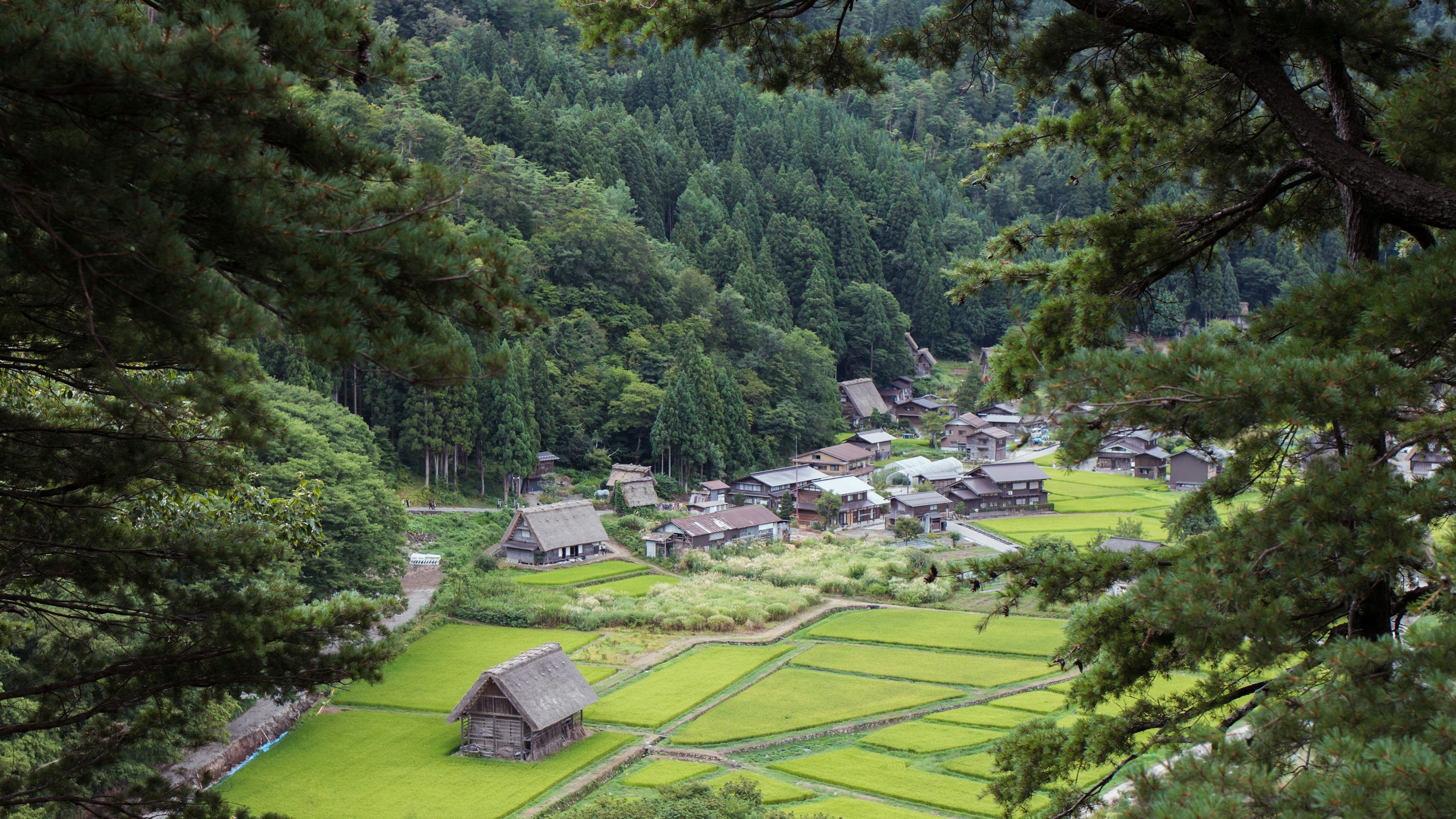 3000x1688 Japanese Village Picture. Download Free Image