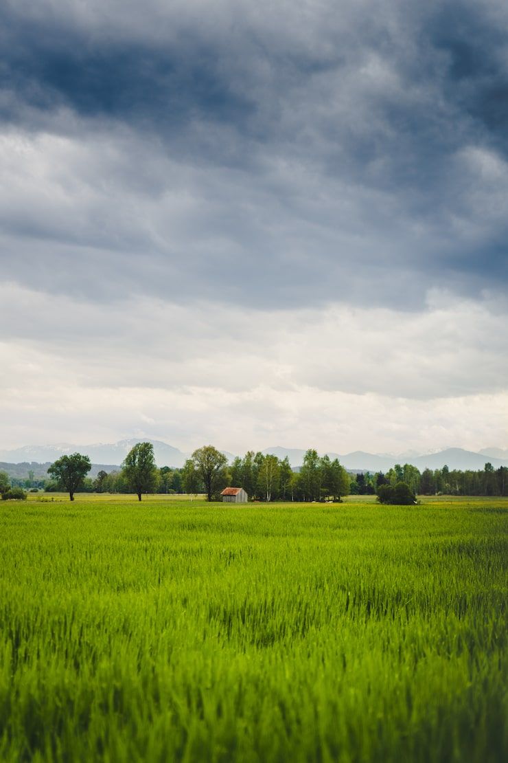 740x1110 Village green Image