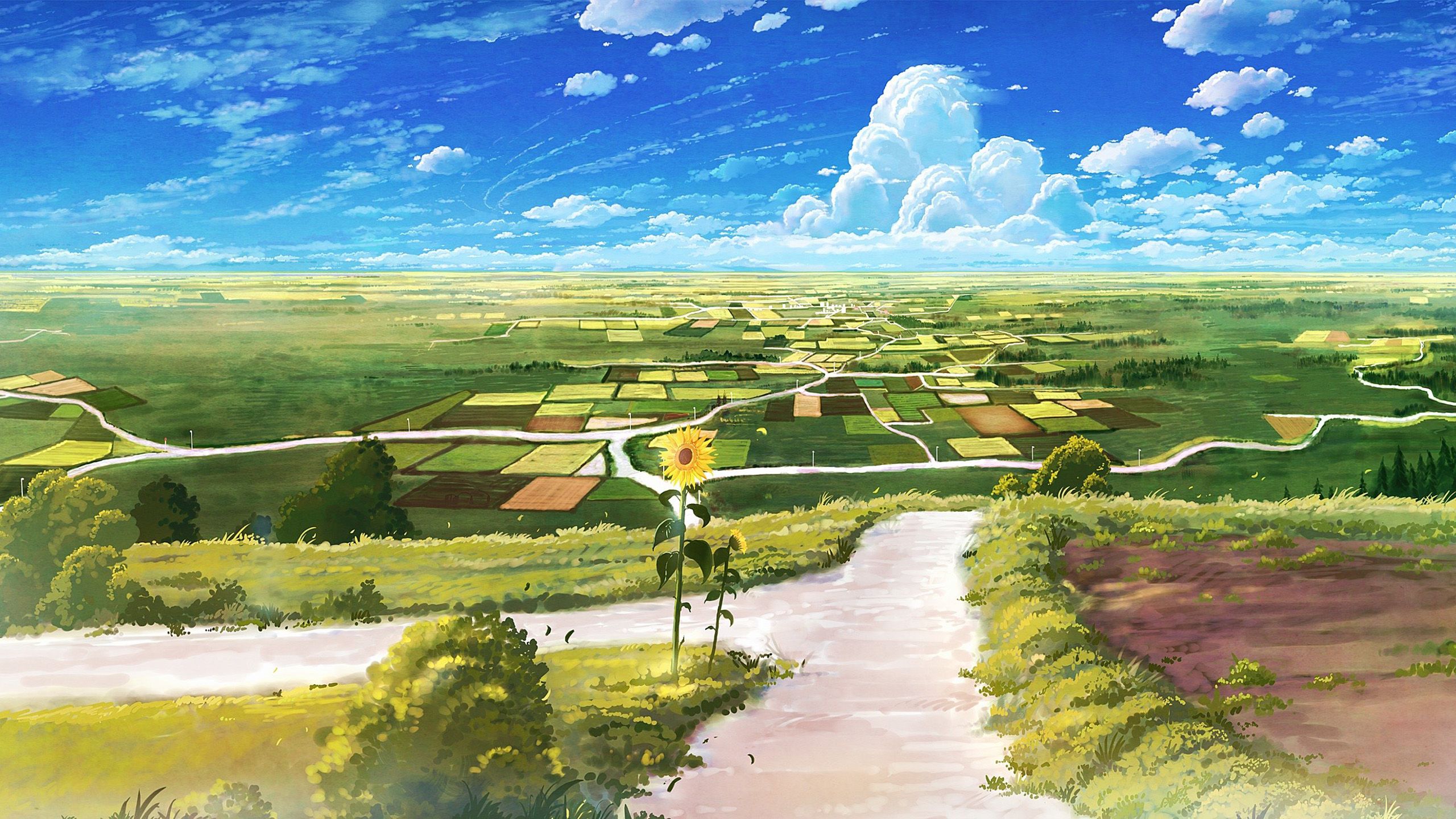 2560x1440 Greenery Farm Village Path White Clouds Blue Sky Anime Background HD Anime Background Wallpaper