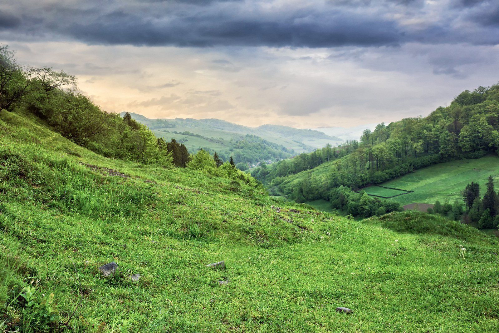 1599x1066 Lush hillside village with forest and farmland Free
