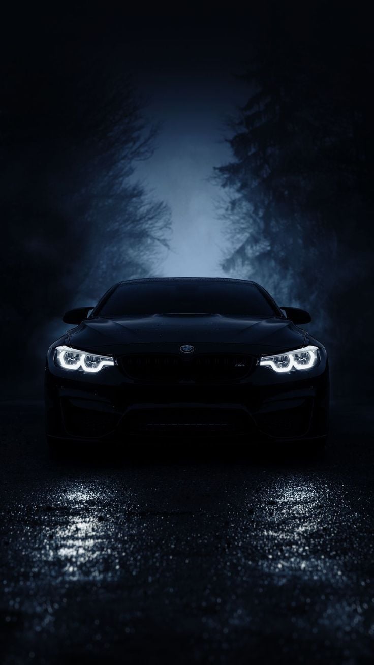 736x1308 Wallpaper bmw m bmw, car, black, sports car, forest, road, night, Cars 4K by Vitaliy Аrt. Download wallpaper bmw m bmw, car, black, sports car, forest, road, night for free