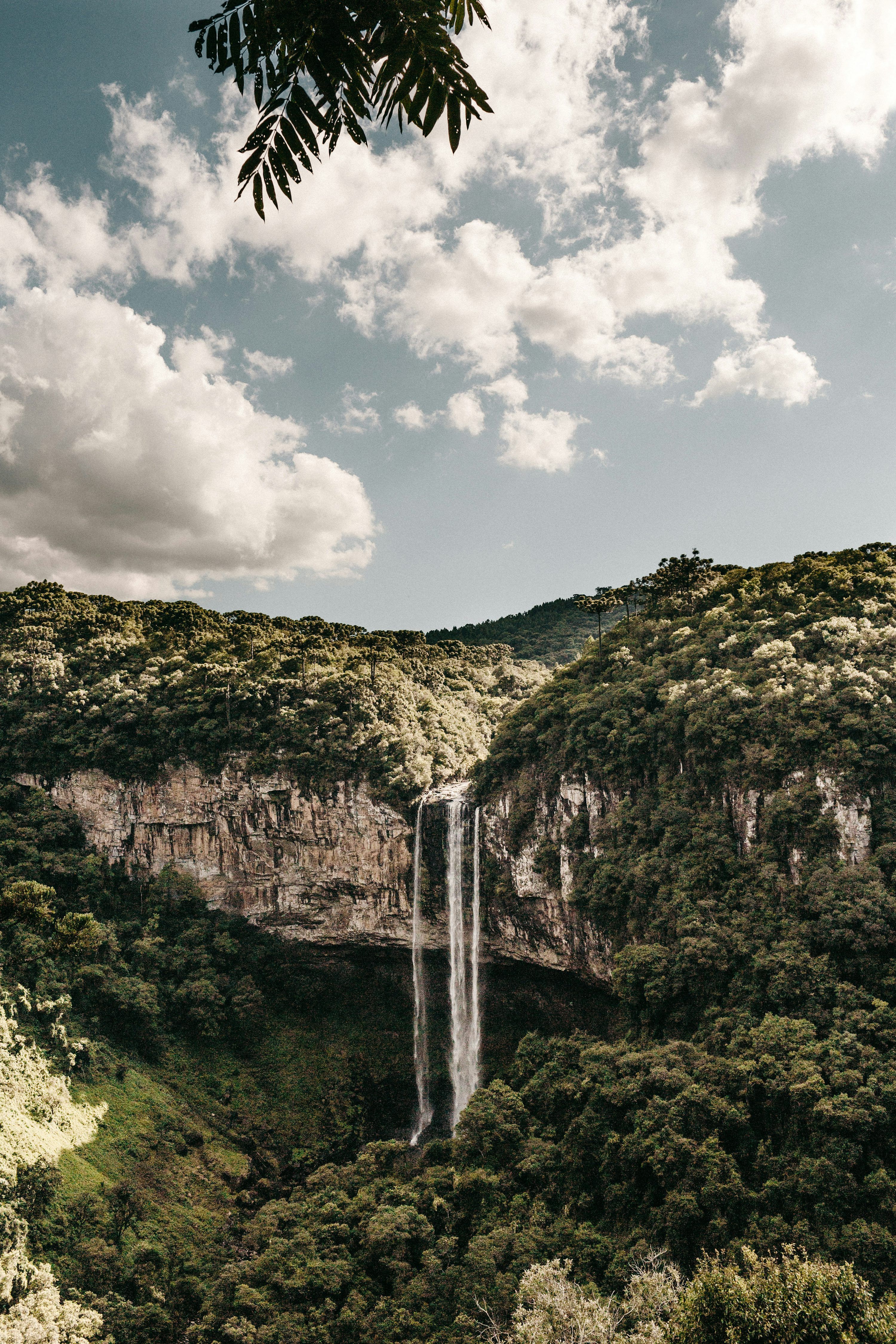 3000x4500 Brazil Nature Picture. Download Free Image