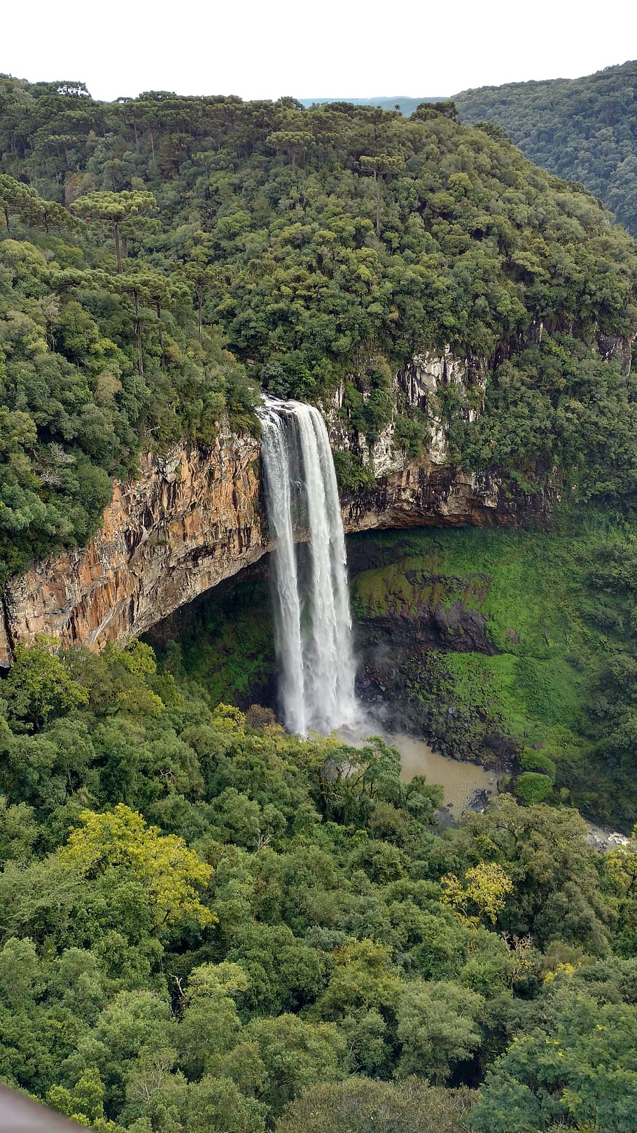910x1618 Free nature brazil photo