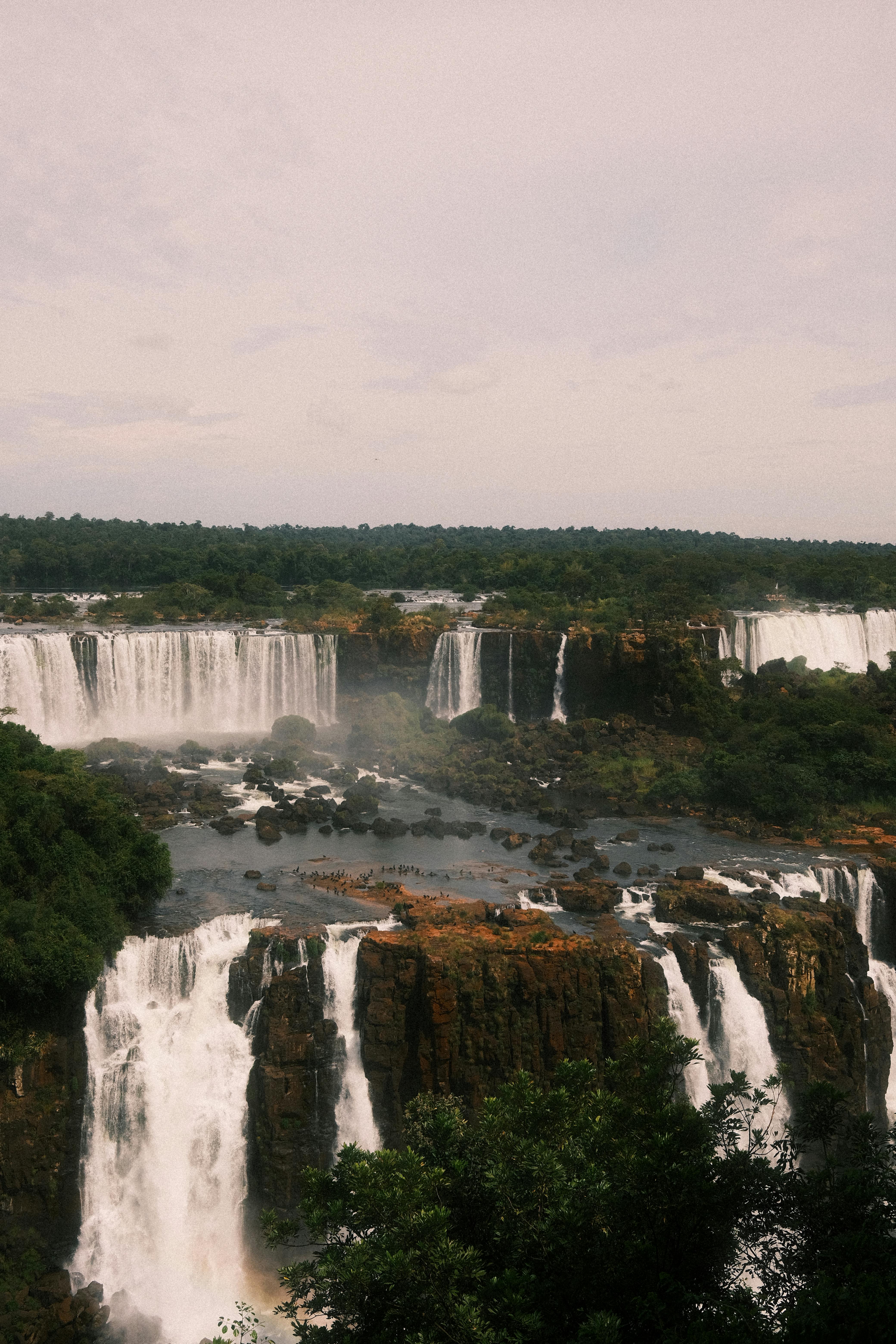 4160x6240 Brazil Nature Photo, Download The BEST Free Brazil Nature & HD Image