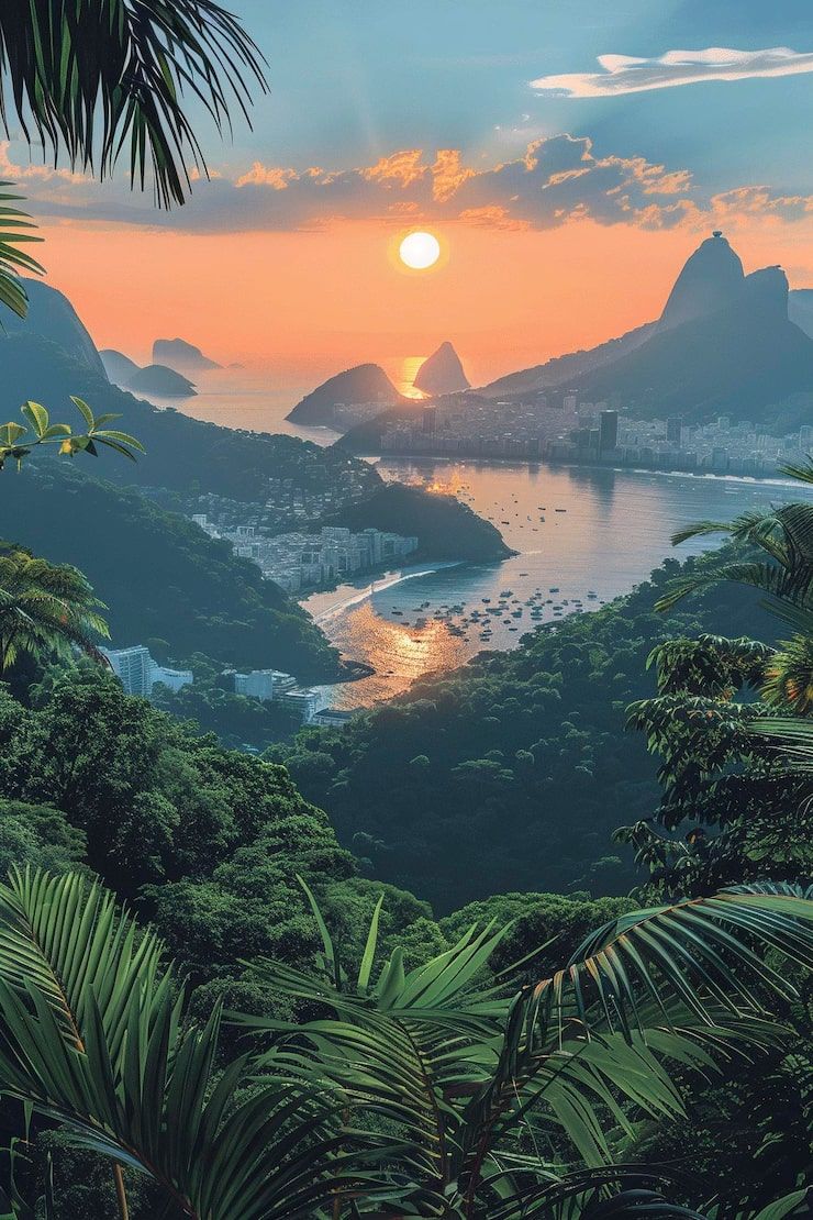 740x1110 Nature brazil Image