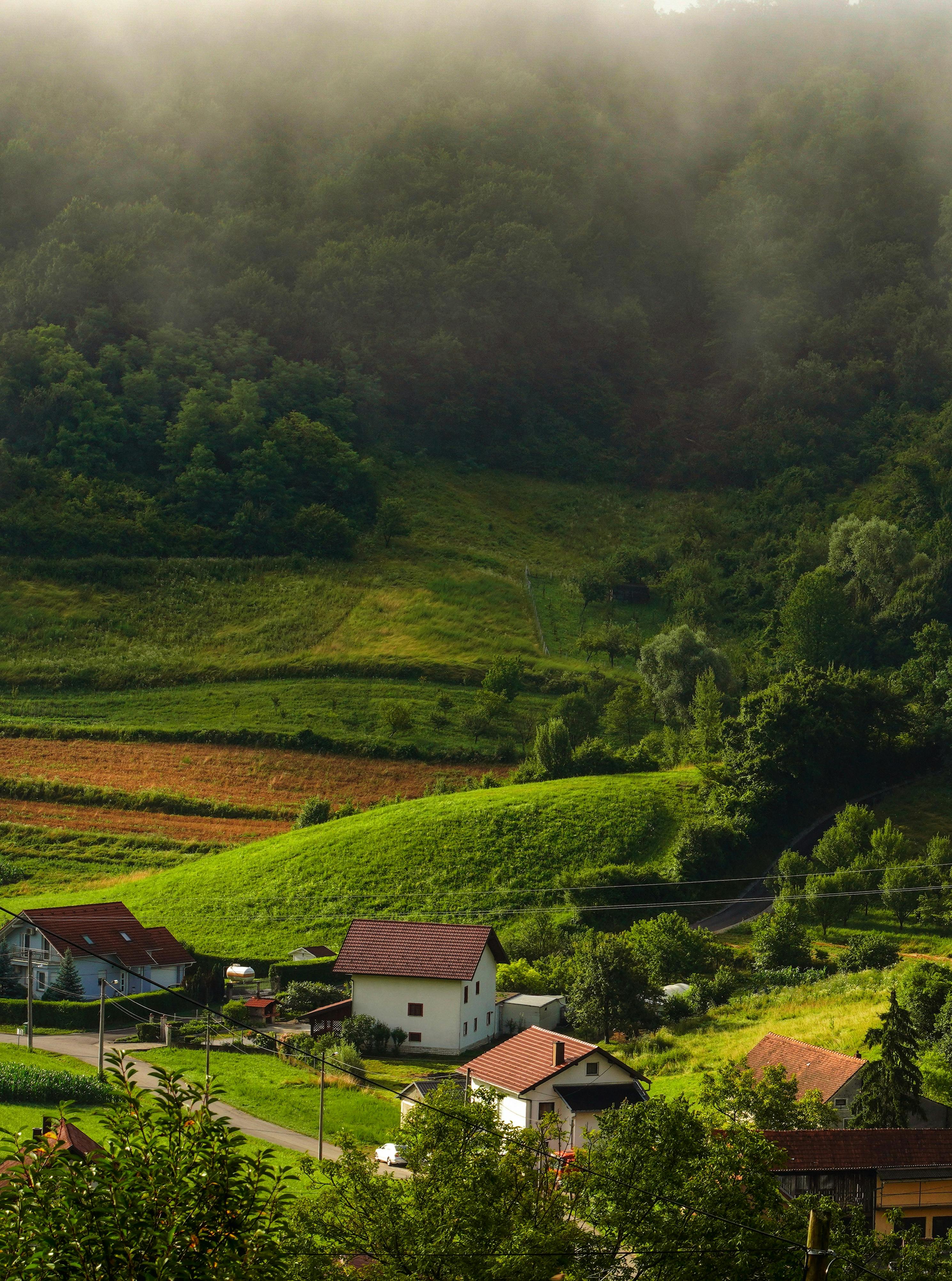 2978x4005 Forest around Houses in Village · Free