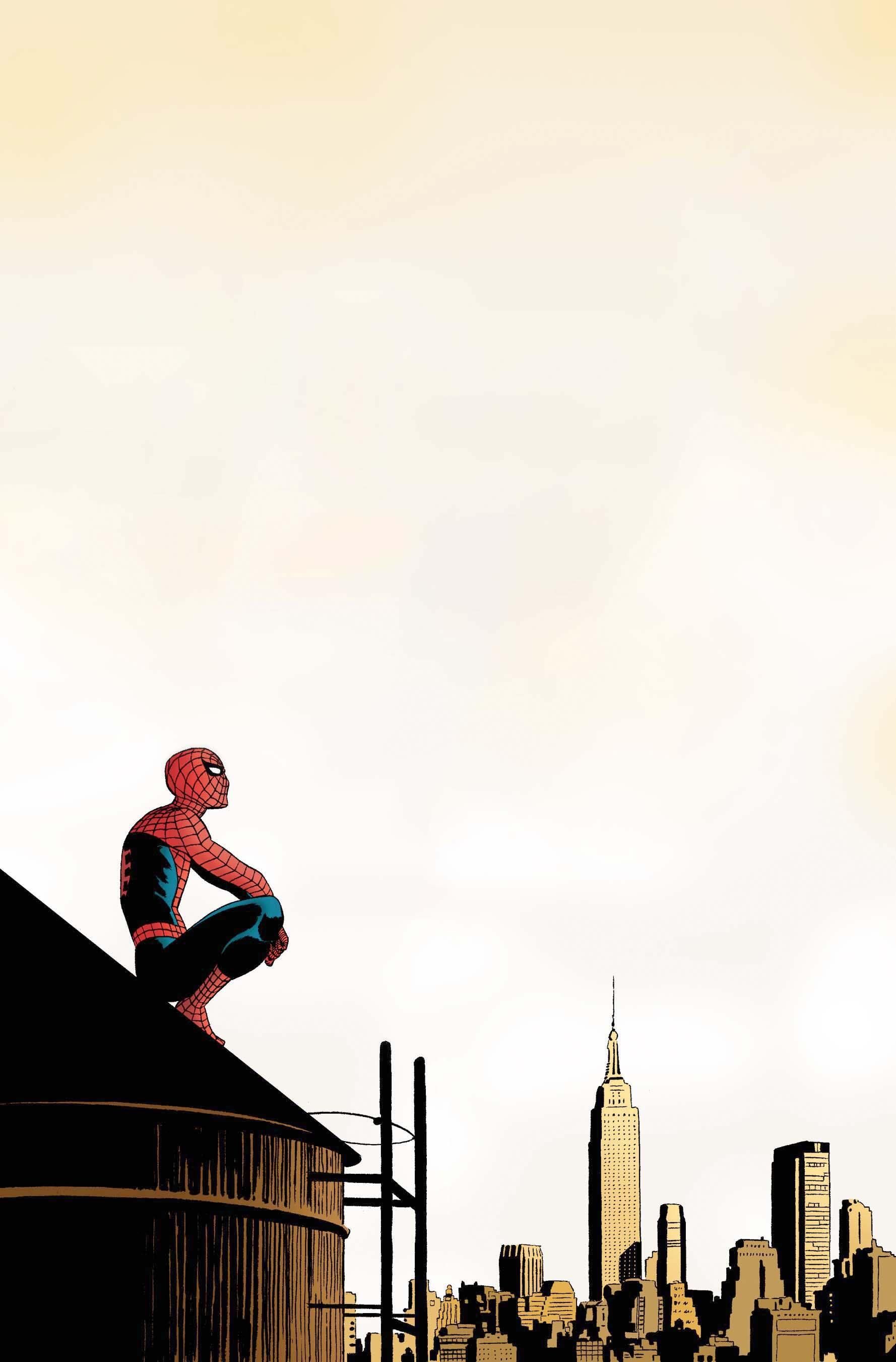 1778x2700 Spider Man Skyline: Iconic Phone Wallpaper View