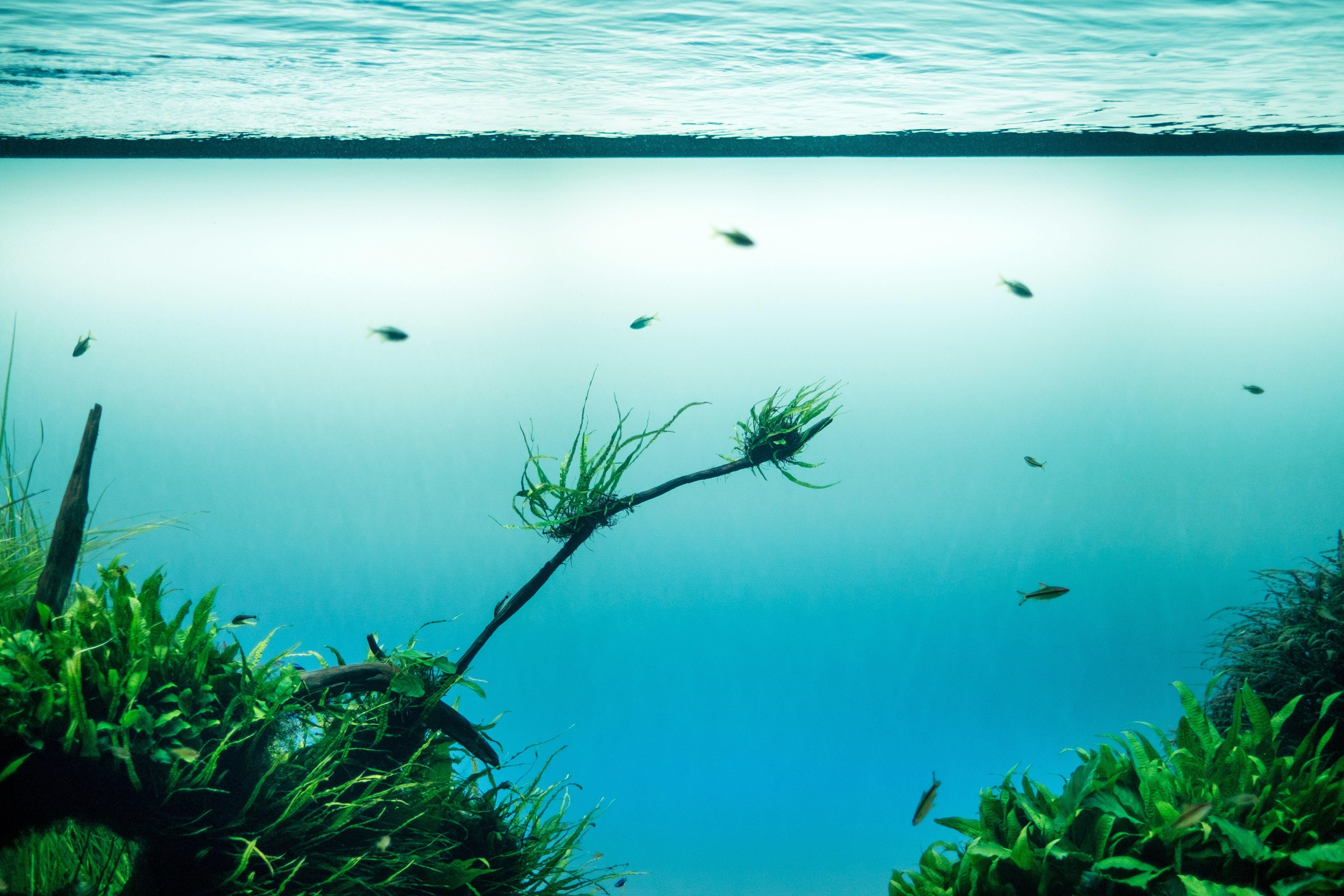 4896x3264 4896x3264 #water surface, #blue, #turquoise, #quietude