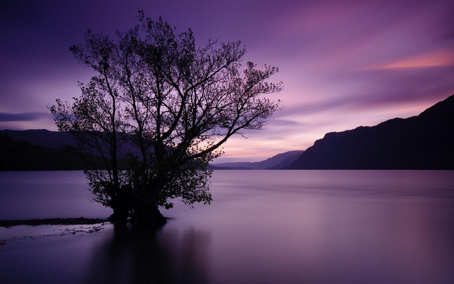 1920x1200 Free download tree water surface mountains sunset wallpaper