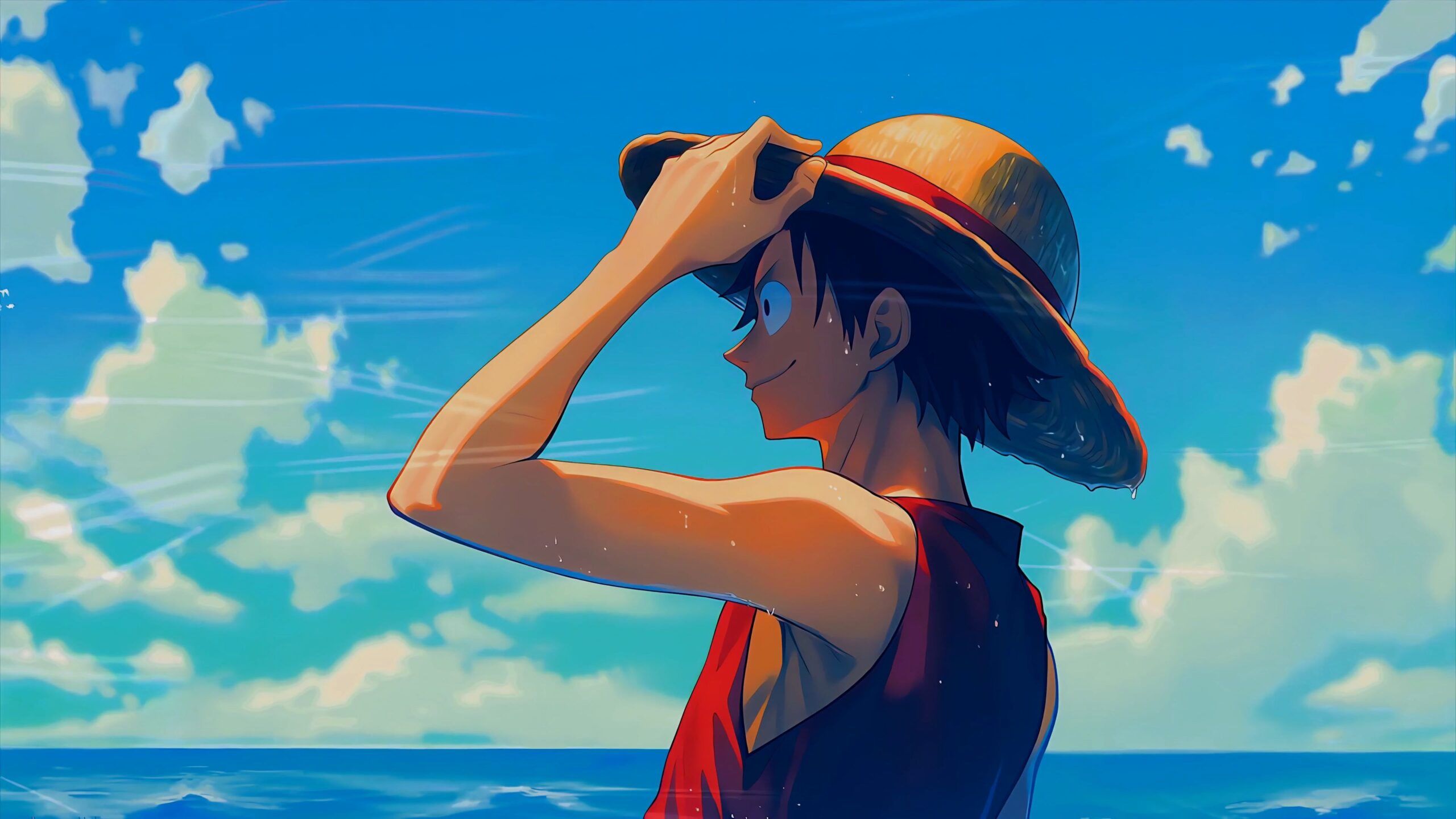 2560x1440 Luffy Sea Breeze