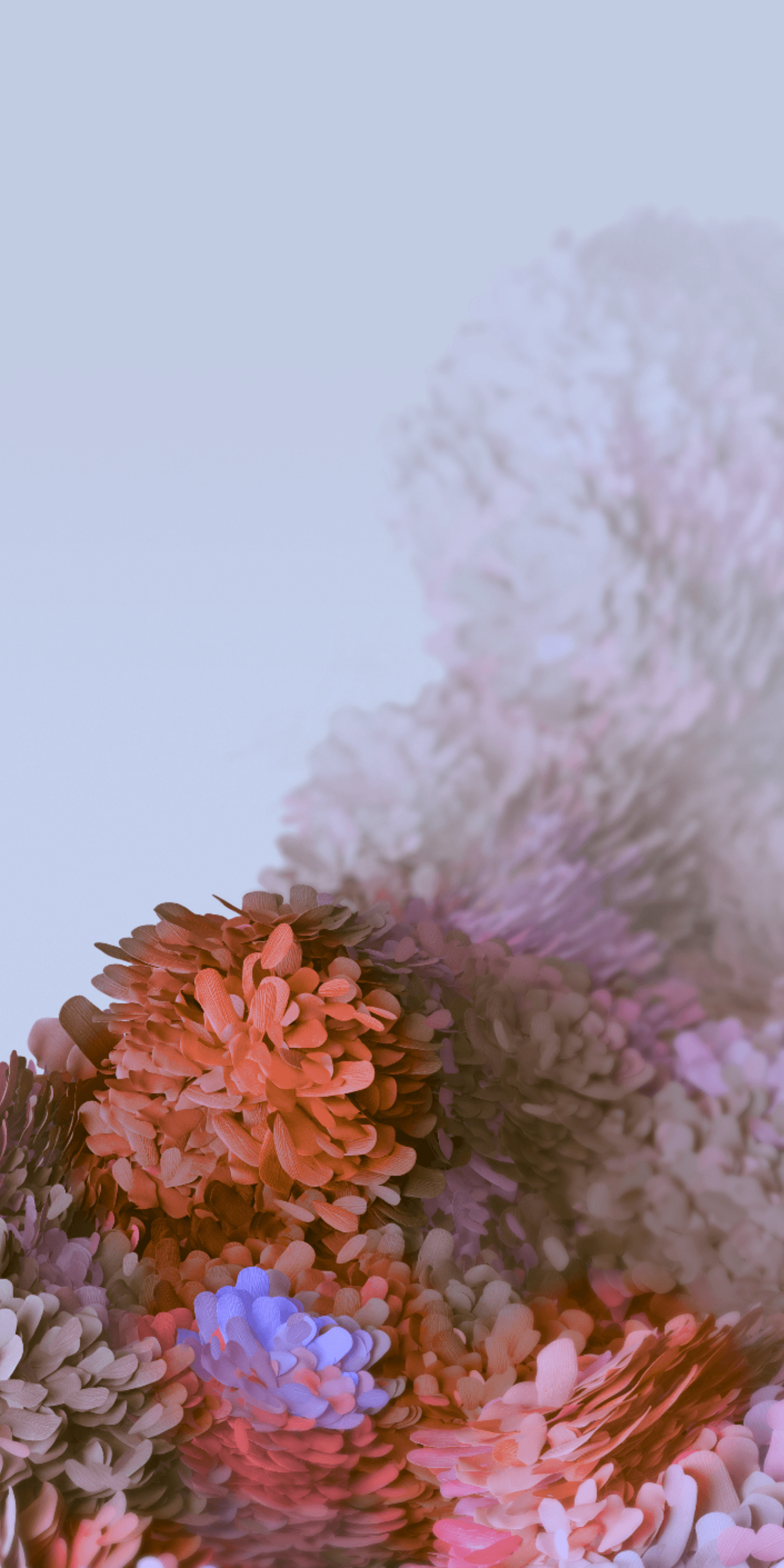 1440x2880 Samsung Galaxy S20 Wallpaper