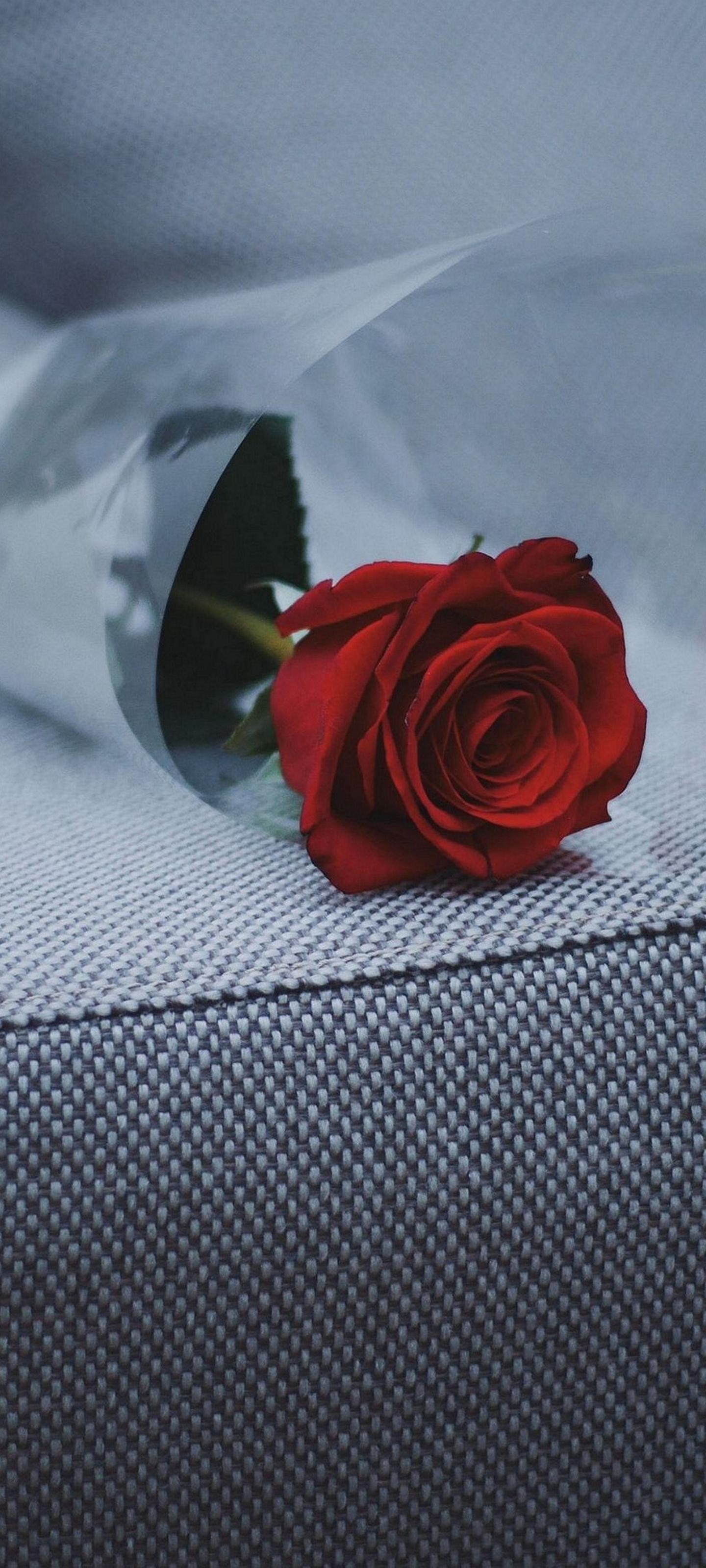 1440x3200 Samsung Galaxy S20 Ultra Wallpaper