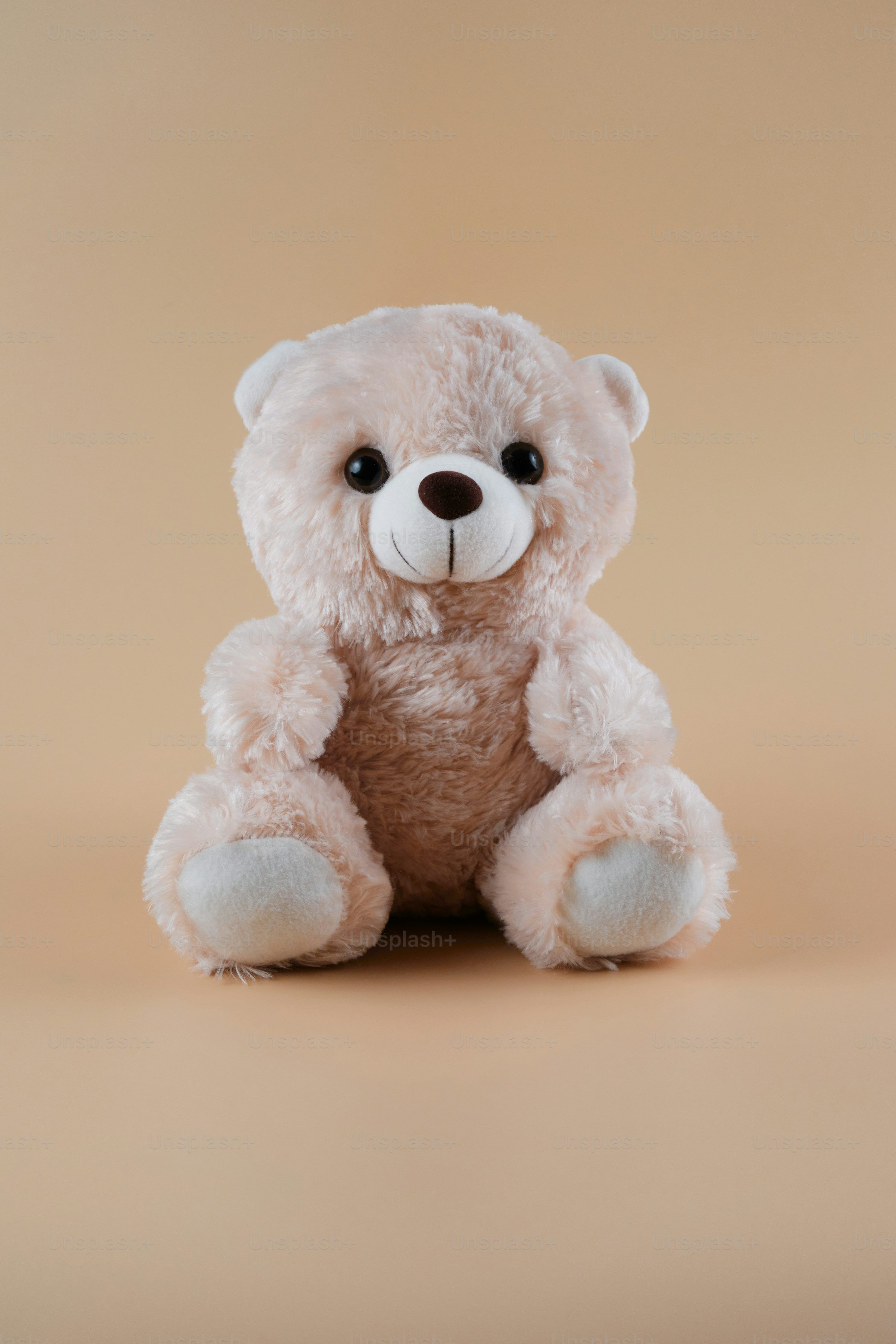 3000x4500 Best Teddy Bear Picture [HD]. Download Free Image