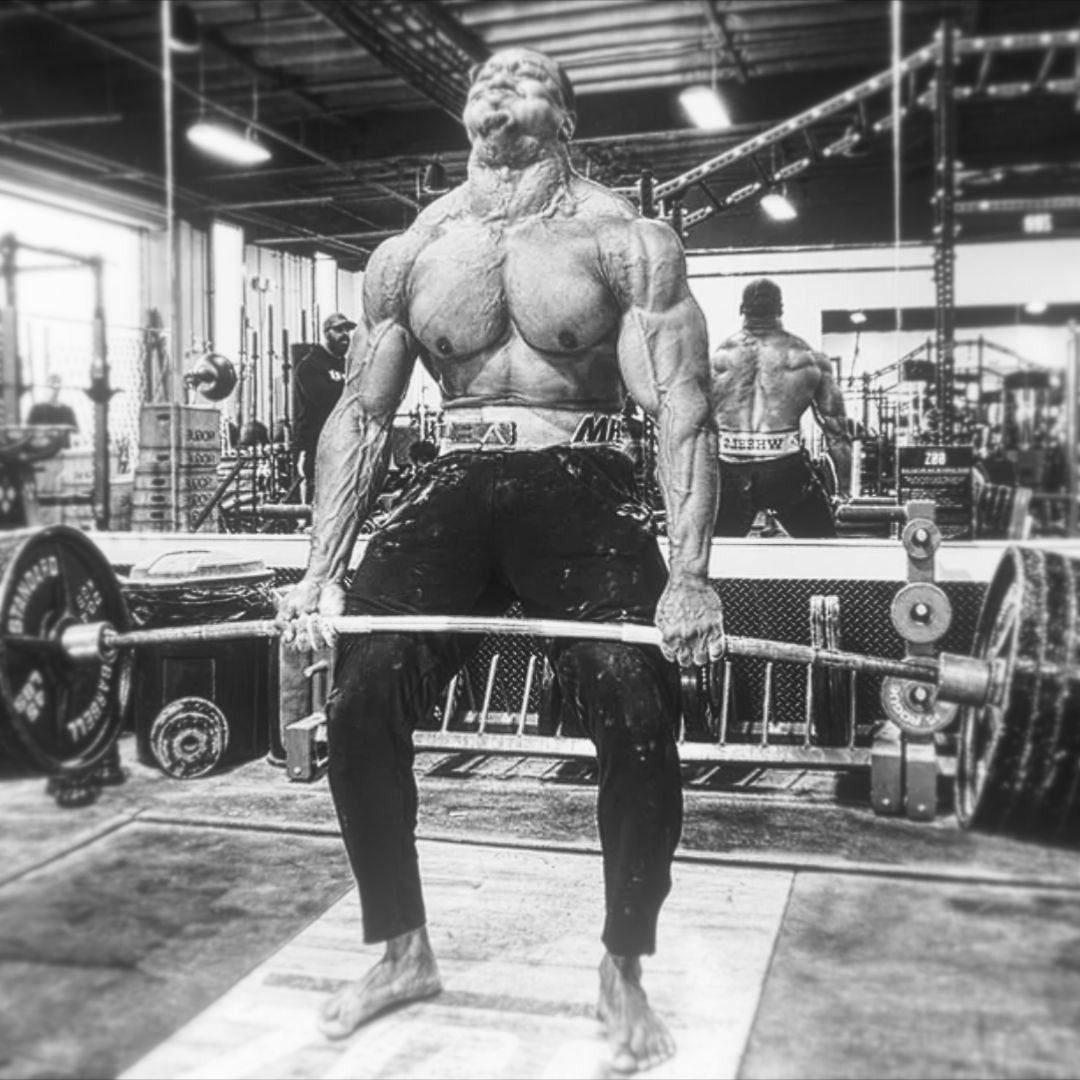 1080x1080 Listen to Three Days Grace I Have Become Twins x Larry Wheels by gymbrah in GYM ROCK playlist online for free on SoundCloud
