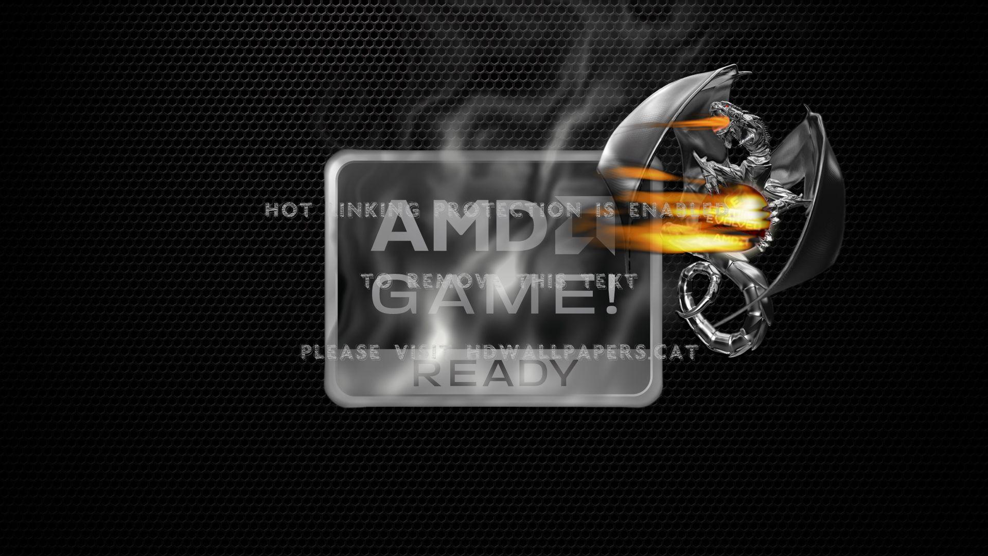 AMD Dragon Wallpapers - Top Free AMD Dragon Backgrounds - WallpaperAccess
