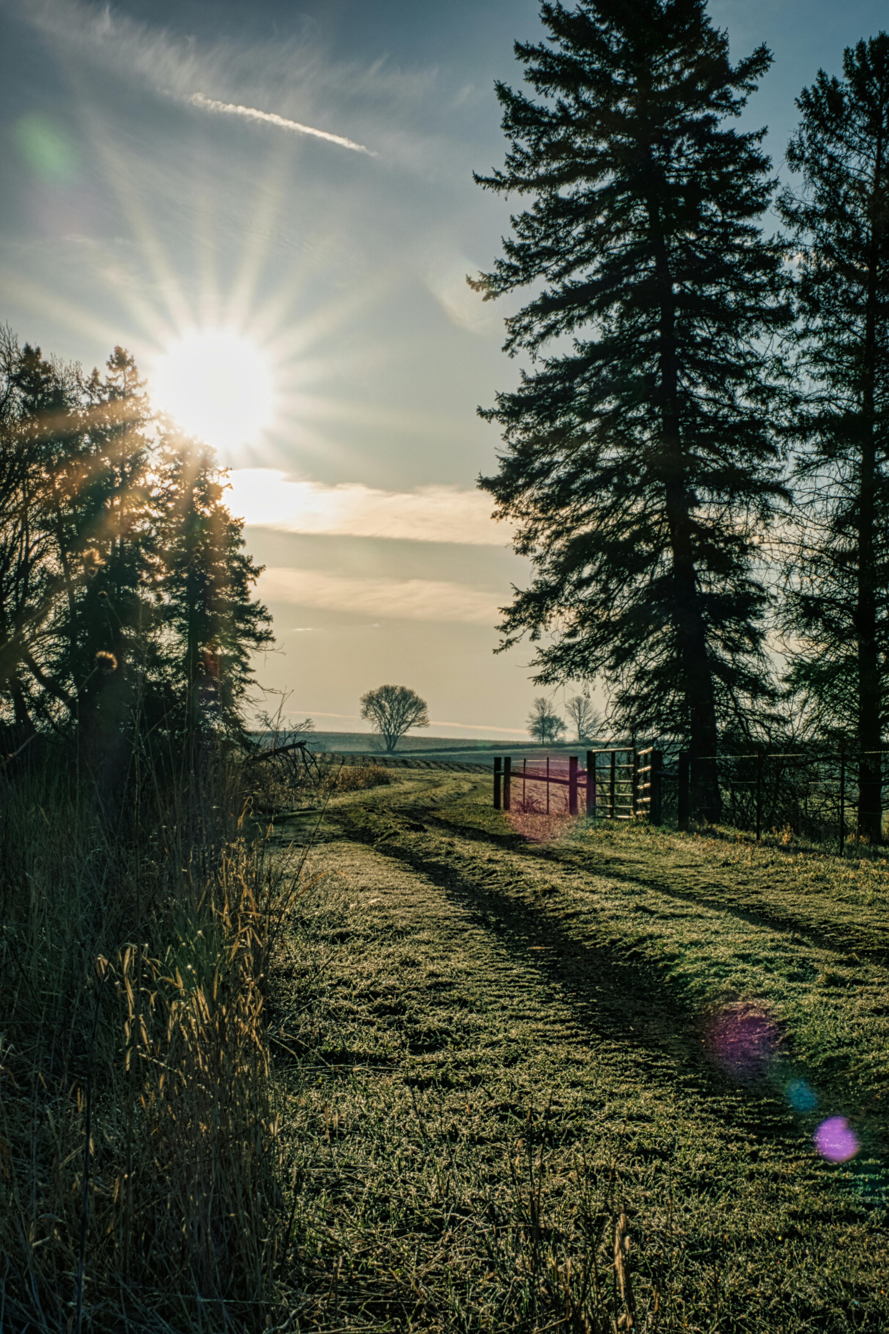 3643x5468 Sunrise over Field in Countryside · Free