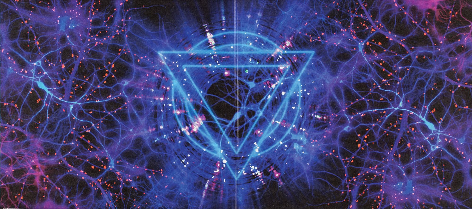 2000x886 TURBID::. Enter Shikari