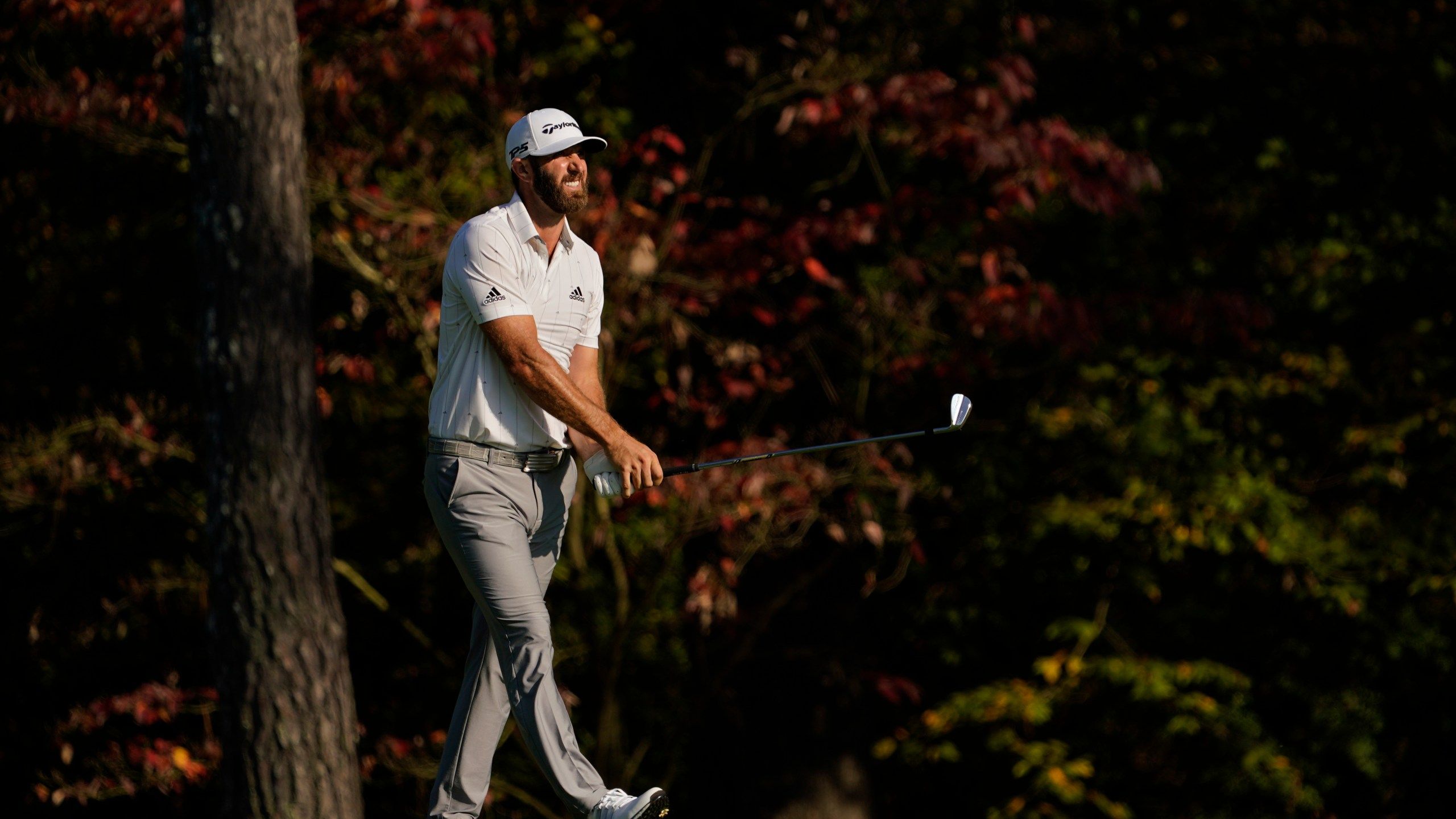 2560x1440 Johnson plays like No. 1 and seizes control at the Masters. WRIC ABC 8News
