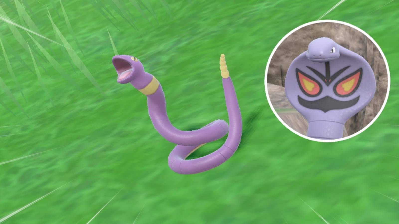 1600x900 Pokemon Scarlet & Violet DLC: How To Get & Evolve Ekans