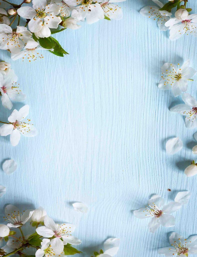 788x1024 White Pear flower Sprinkle Around Sky Blue Wood Photography