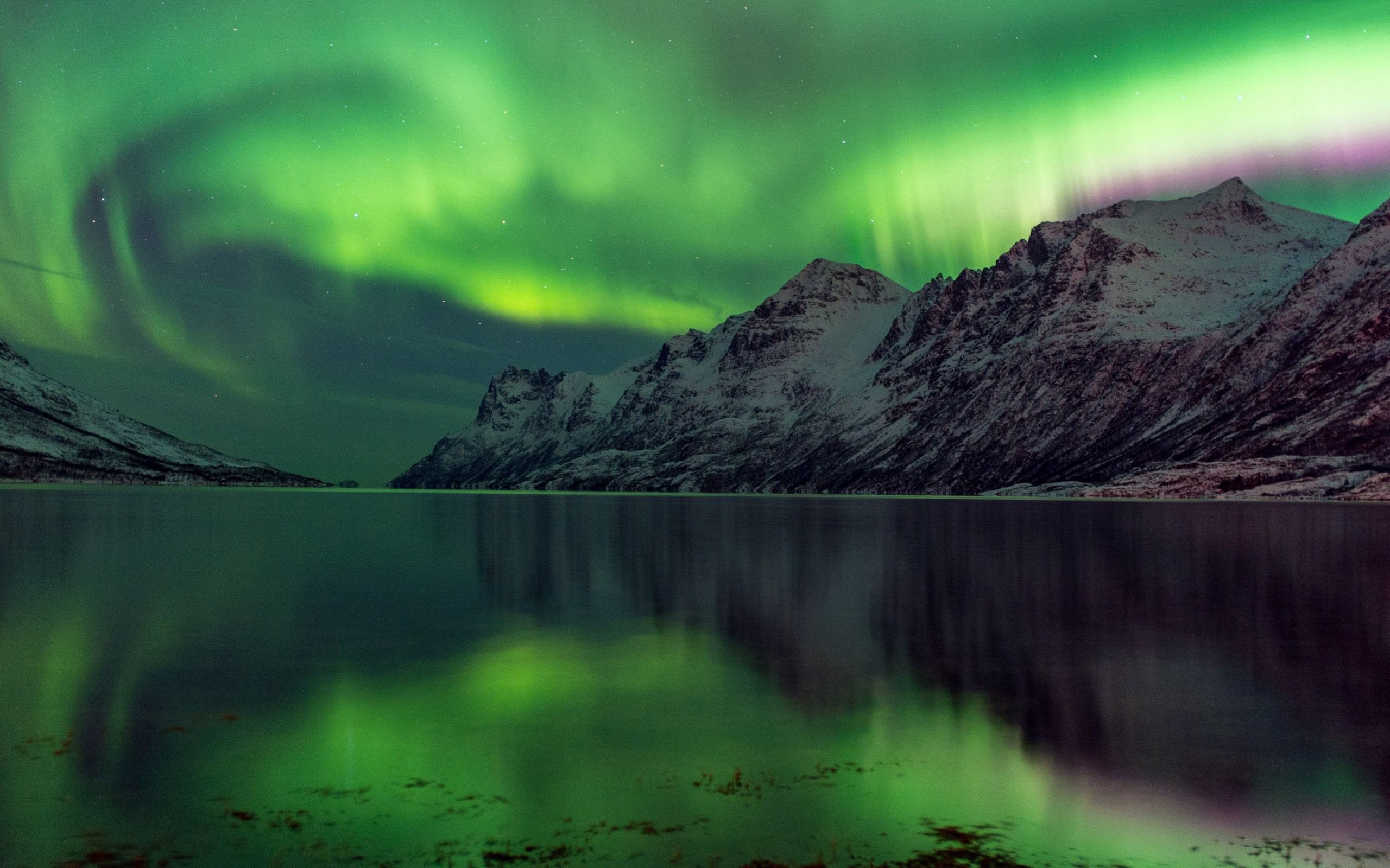 2560x1600 Aurora Abisko Lake Sweden Travel Nature Photo HD Wallpaper