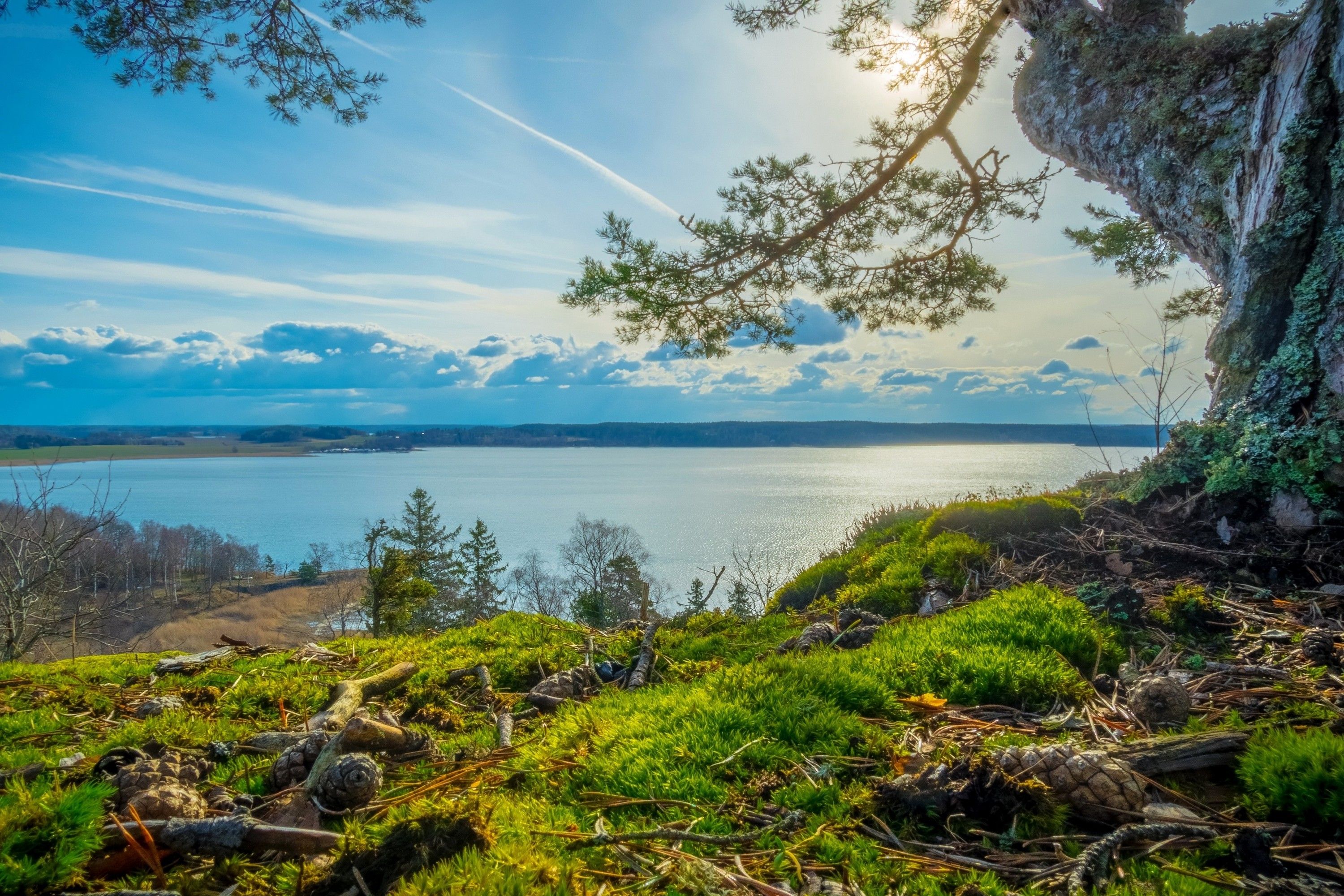 3000x2000 nature, Landscape, Summer, River, Trees, Grass, Clouds, Sunlight, Sky, Sweden Wallpaper HD / Desktop and Mobile Background
