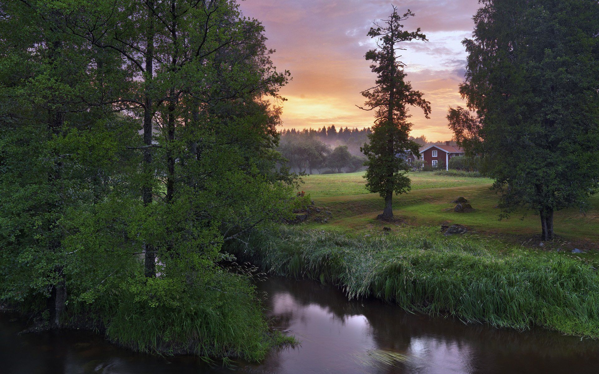 1920x1200 sweden, Stocks, River, Nature, Tree Wallpaper HD / Desktop and Mobile Background
