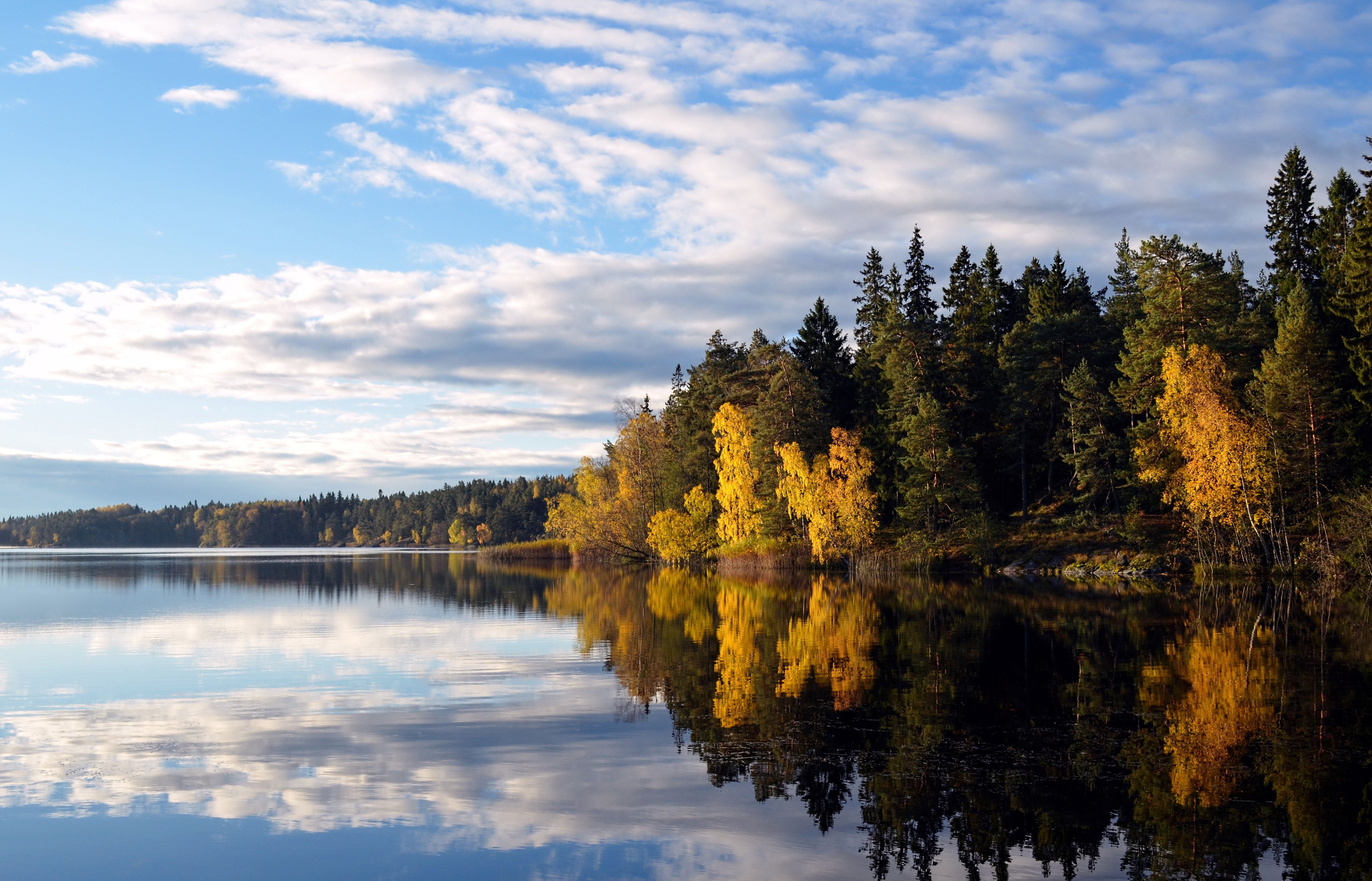 4815x3095 Free Image : landscape, tree, wilderness, mountain, winter, cloud, sky, sunlight, morning, leaf, lake, river, dusk, evening, reflection, autumn, season, body of water, reserve, sweden, landscapes, loch, mirror image, flaten, stockholm county