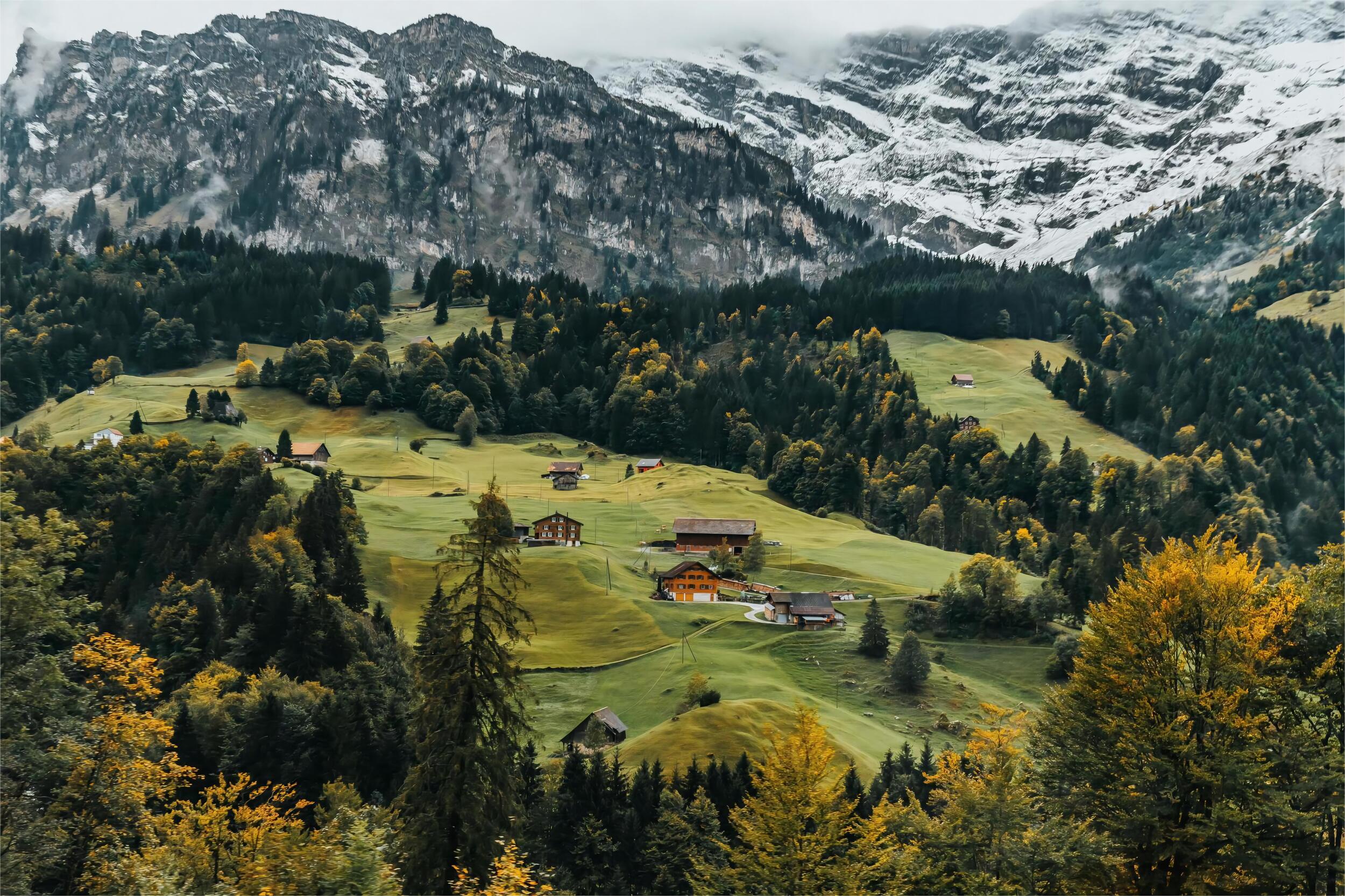 2500x1666 Swiss Forest Sweden Hills Snow In Winter Best Free Download Wallpaper For IPad Pro Or IPad Air And Android Tablets