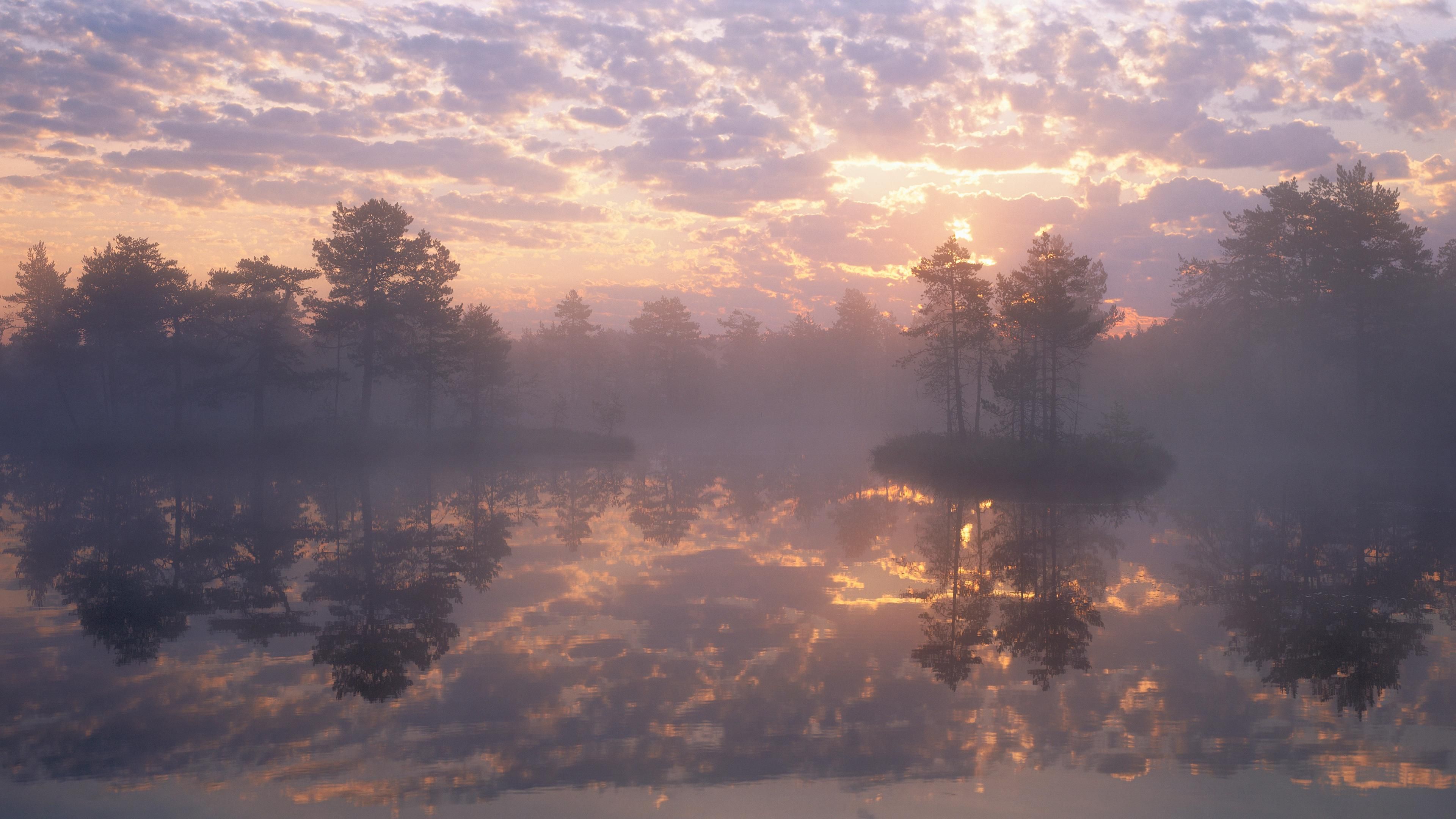 3840x2160 Knuthjödmossen, a nature reserve in Sweden (3840 x 2160) UHD Wallpaper