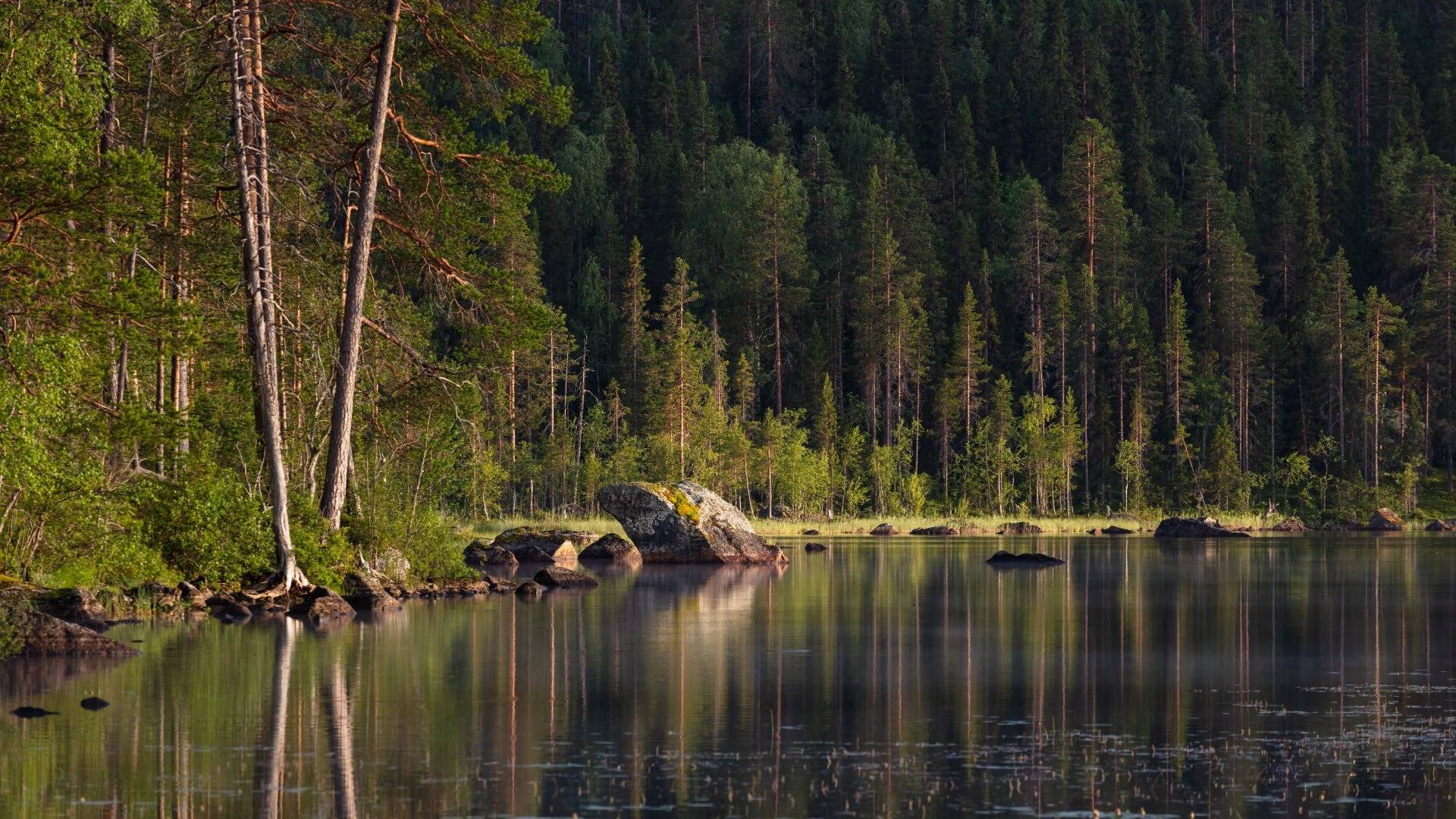 1920x1080 Discover the national parks. Sweden's national parks