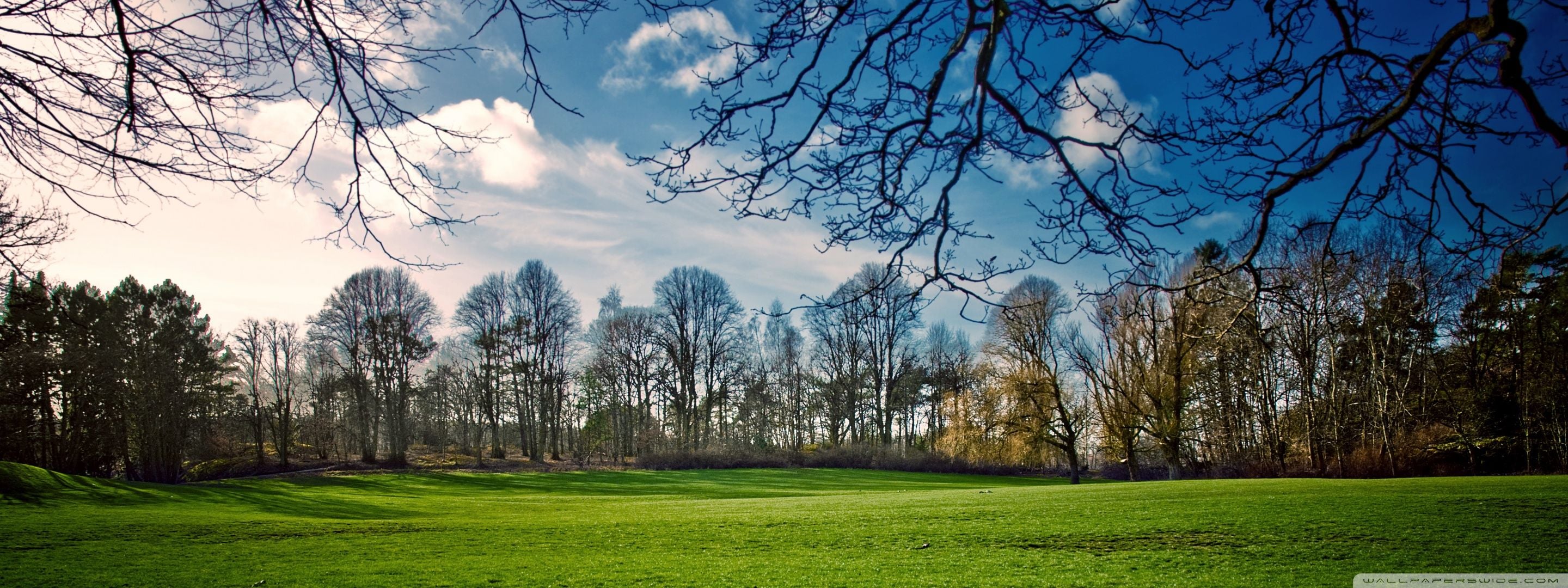 2880x1080 Beautiful Meadow, Spring 4K UHD Wallpaper for UltraHD Desktop and TV : Dual Monitor : Smartphone and Tablet Devices