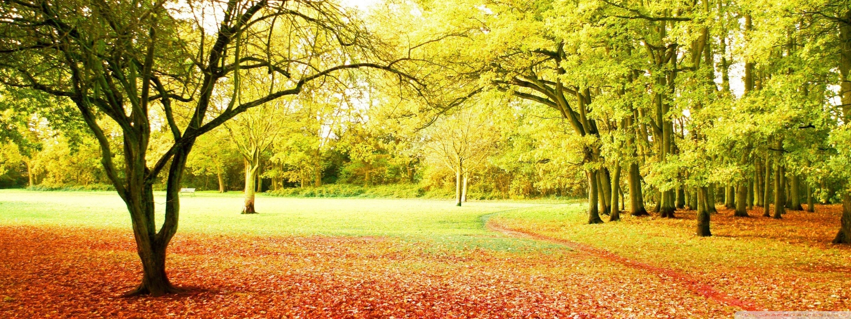 2880x1080 Park 4K UHD Wallpaper for UltraHD Desktop and TV : Dual Monitor : Smartphone and Tablet Devices