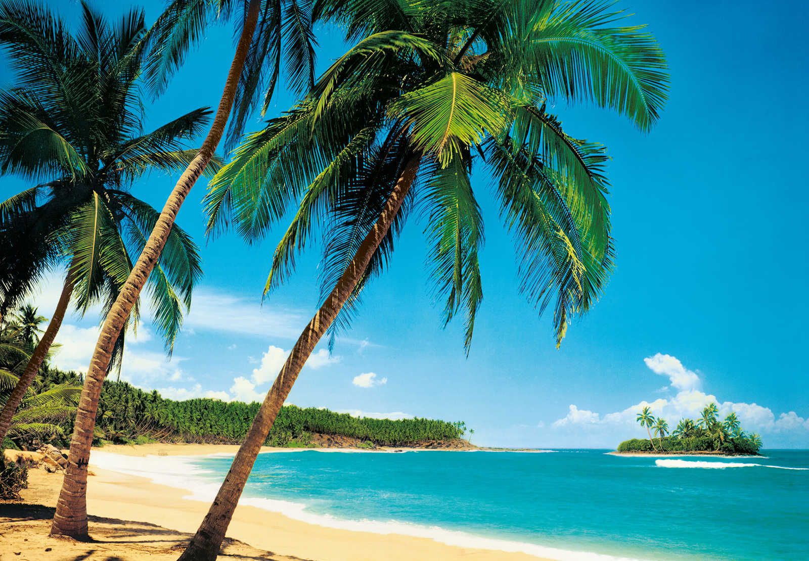 1600x1110 South Seas Beach Wallpaper View buy online. A.S