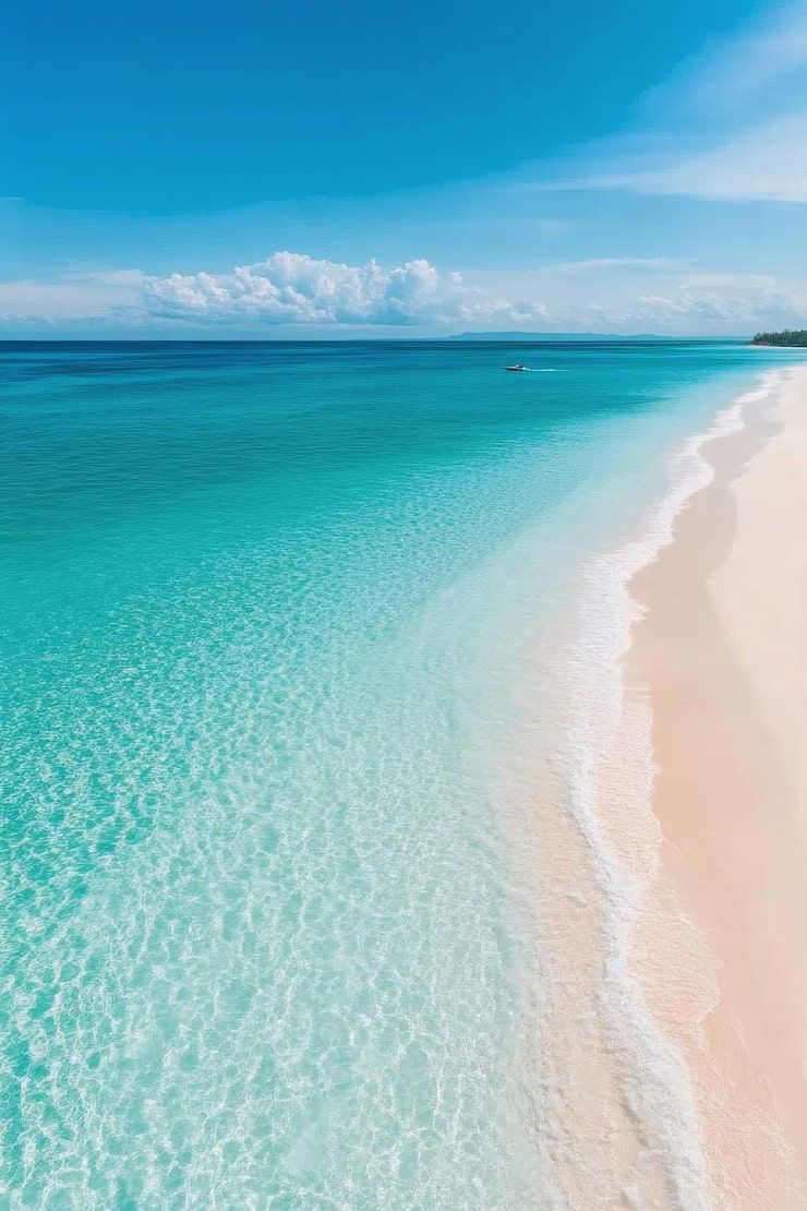 740x1110 Turquoise beach Image