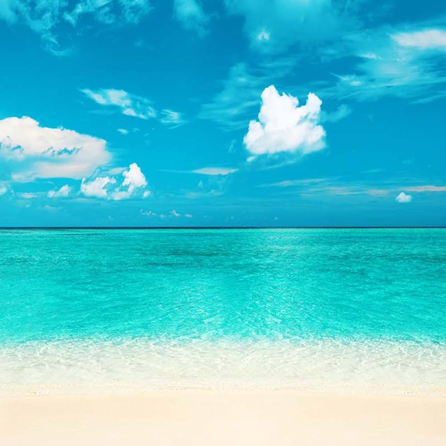 894x894 10ft Beach Theme Backdrop Turquoise Blue Sea Water Sky White Clouds Sea Landscape Wedding Photo Booth: Amazon.de: Electronics & Photo