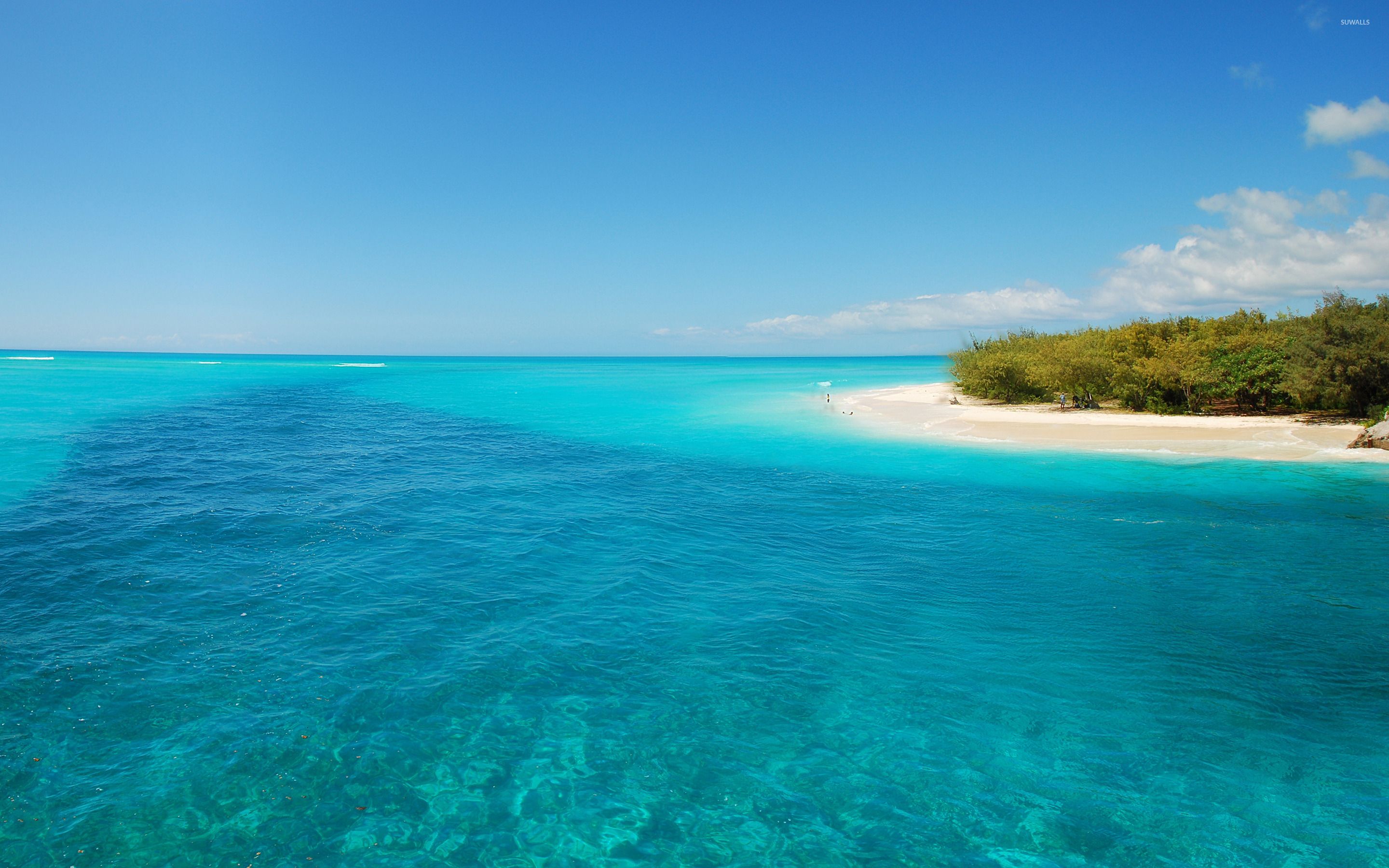 2880x1800 Turquoise beach wallpaper wallpaper