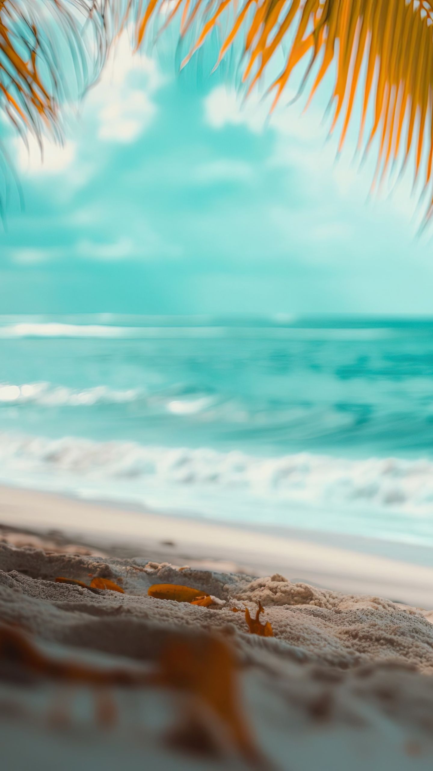 1440x2560 Turquoise Wallpaper 4K, Seaside