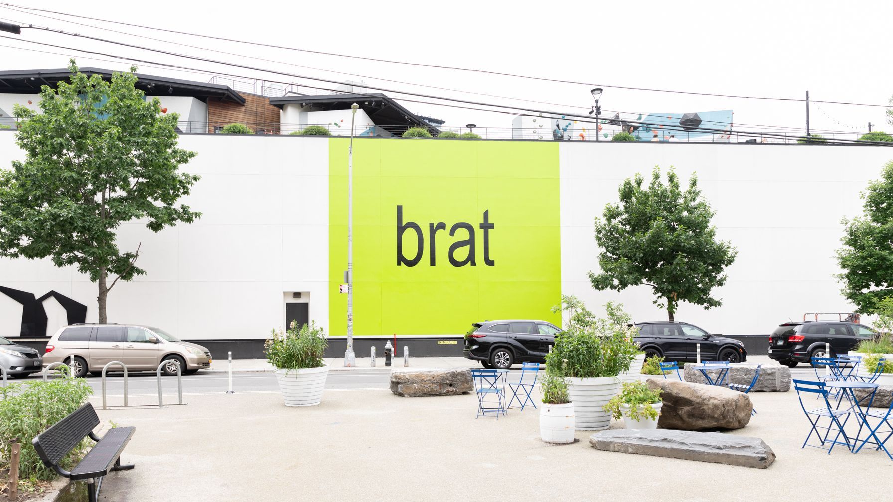 1792x1008 How Charli XCX Made “Brat Green” the Loudest Color of the Year
