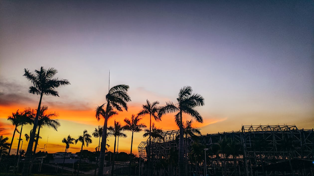1260x709 Slihouetted Palm Trees and a Building on the Background of a Beautiful Sunset · Free