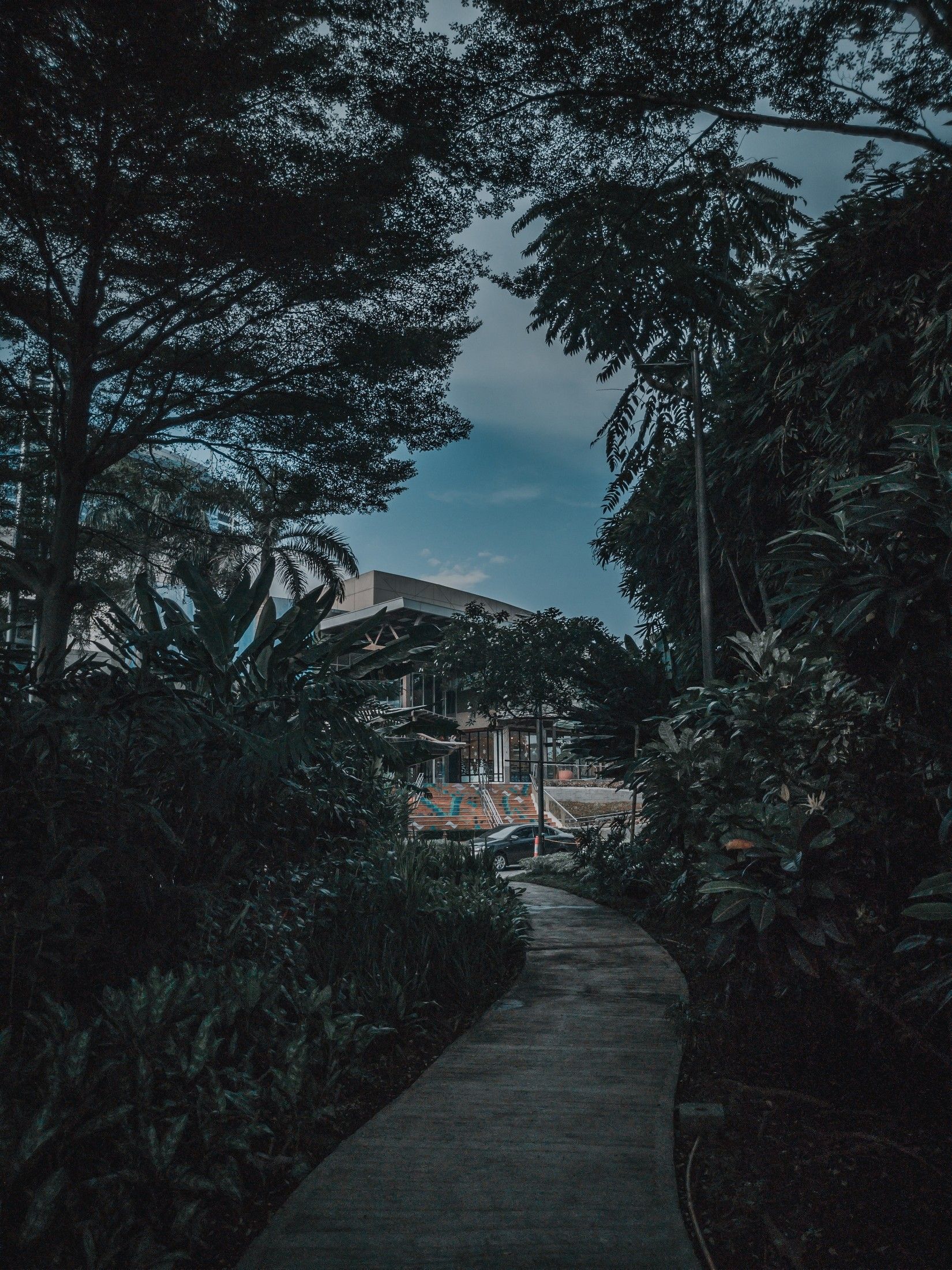 1650x2200 Davao City tallest mountain and the wildest wildlife