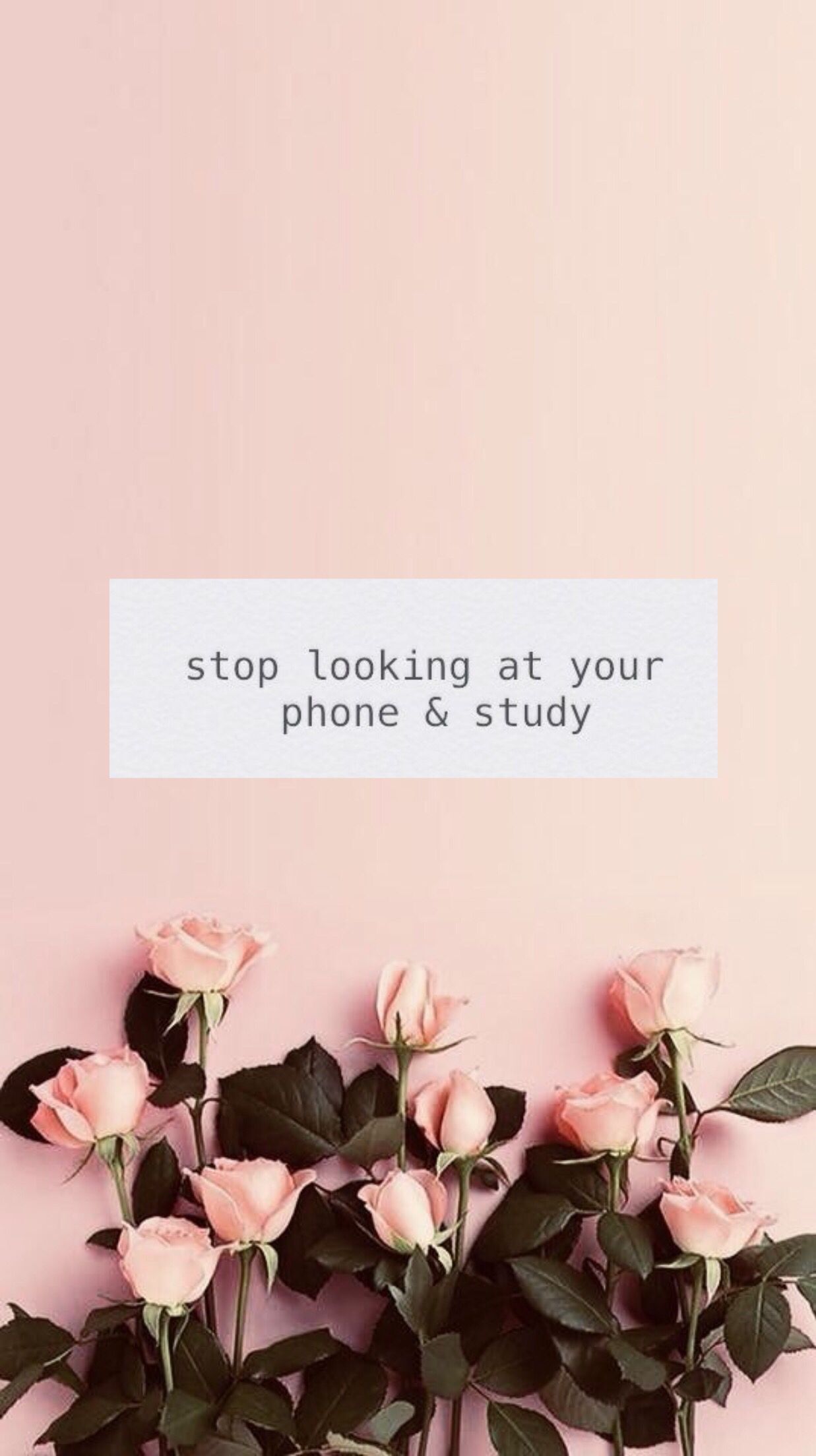 1237x2208 Study Mobile Wallpaper