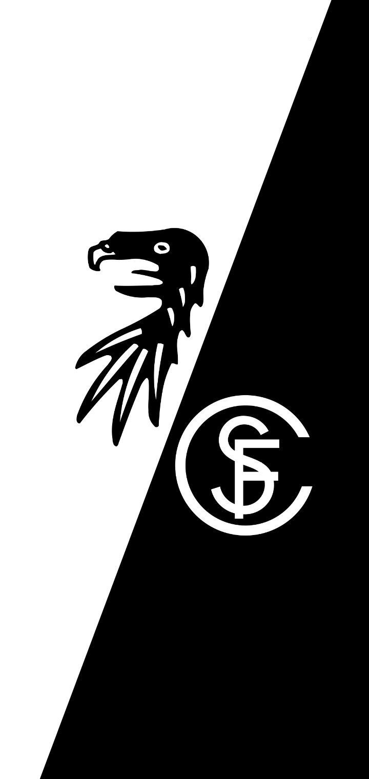 720x1520 SC FREIBURG LOGO WALLPAPER