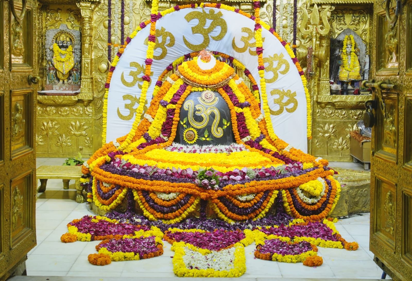1600x1094 Jay Somnath