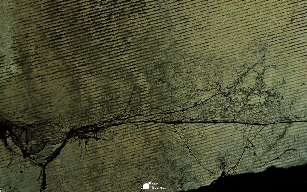 1280x800 Wallpaper. SLEEP IS COMMERCIAL