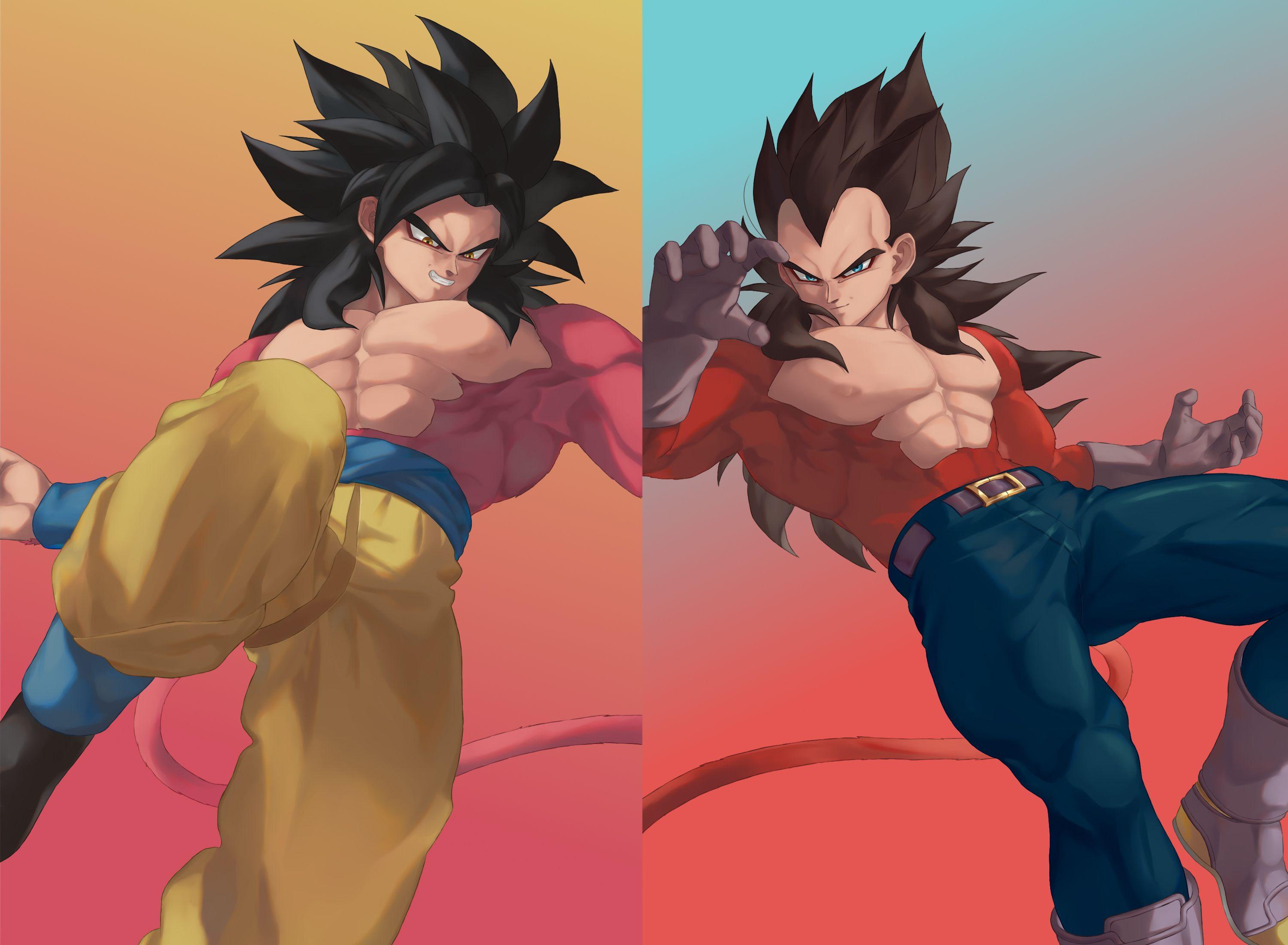 3000x2200 Ssj4 Vegeta Wallpaper