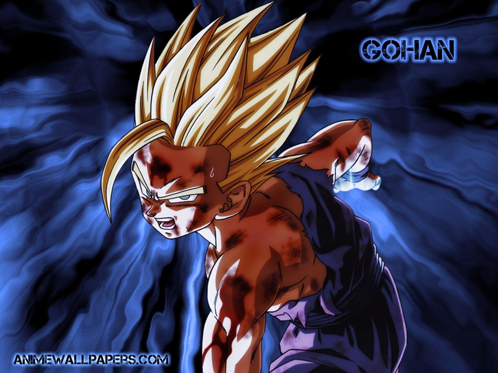 1600x1200 Free download Gohan Dragon Ball Z Wallpaper 35367913 [1600x1200] for your Desktop, Mobile & Tablet. Explore Dragon Ball Z Gohan Wallpaper. Dragon Ball Z Gohan Wallpaper, Dragon Ball Z