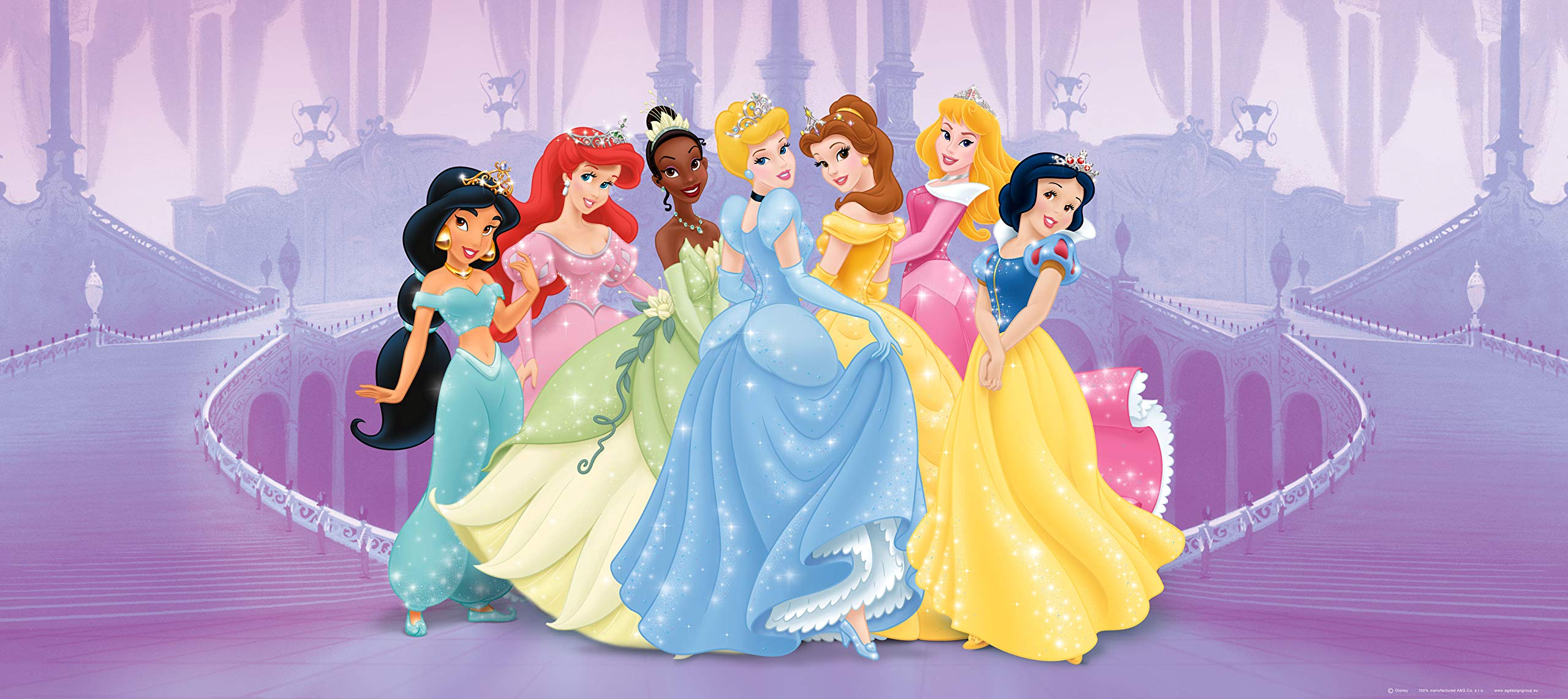 2560x1142 AG FTDNH5318 Design Mural Wallpaper Wall Mural Photo Wallpaper Photomurals Princess Disney Princess