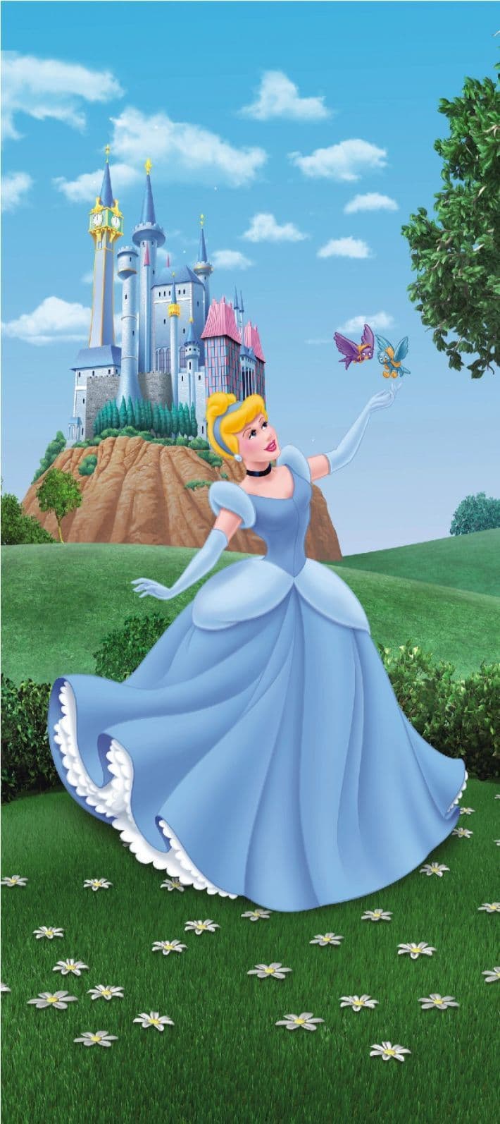 710x1594 Disney Princess Cinderella mural wallpaper 90x202cm
