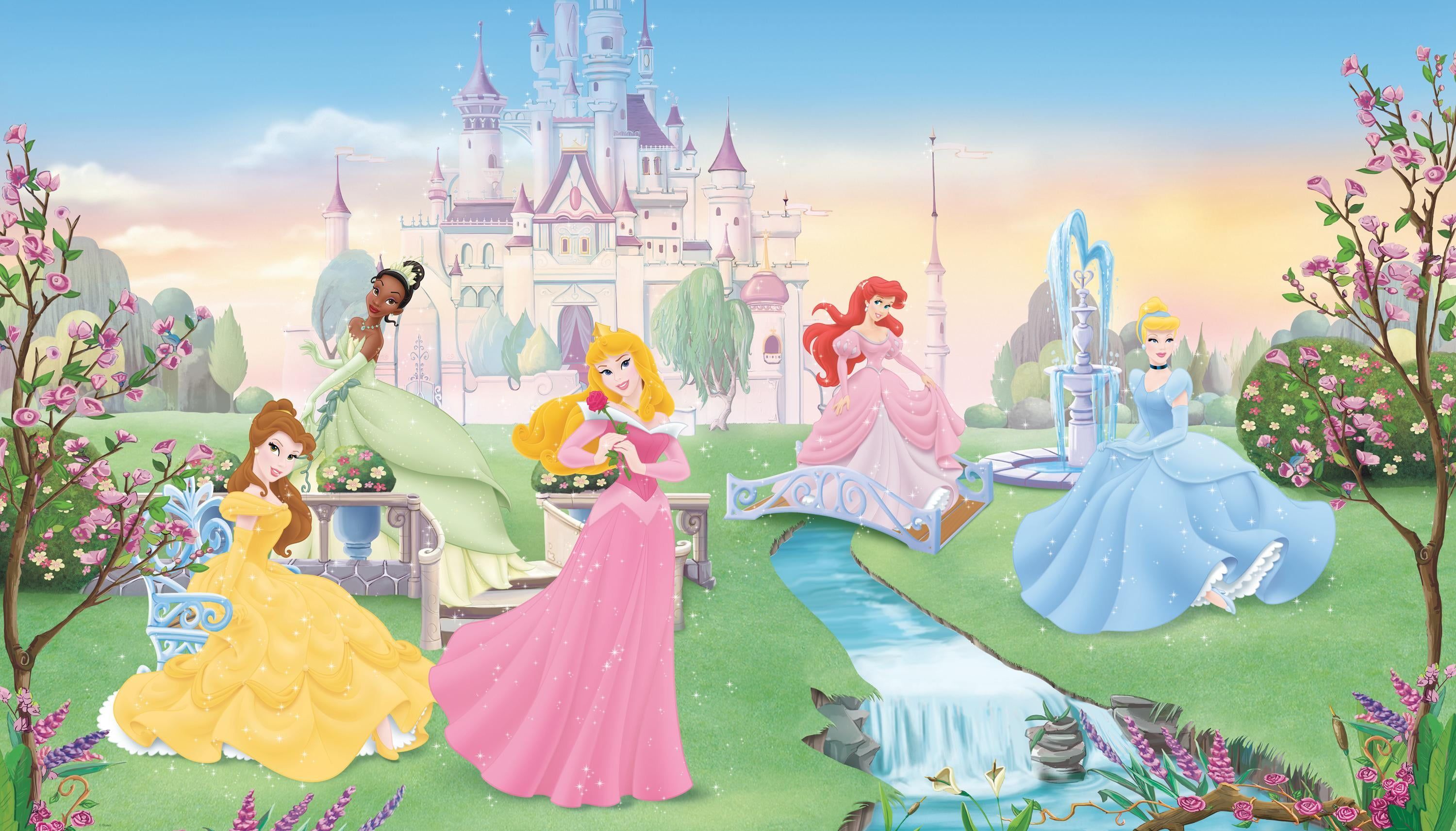 3000x1714 Disney Dancing Princess XL Spray and Stick Wallpaper Mural